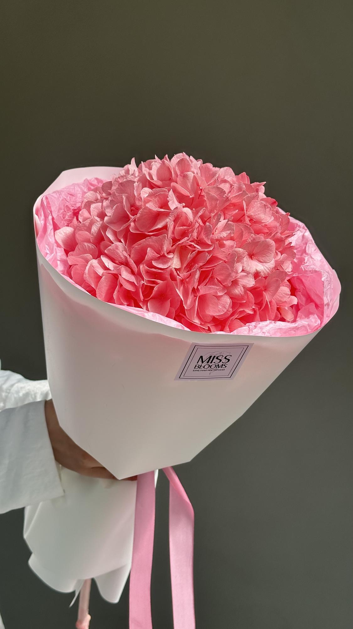 Стабилизированная  гортензия пудровая