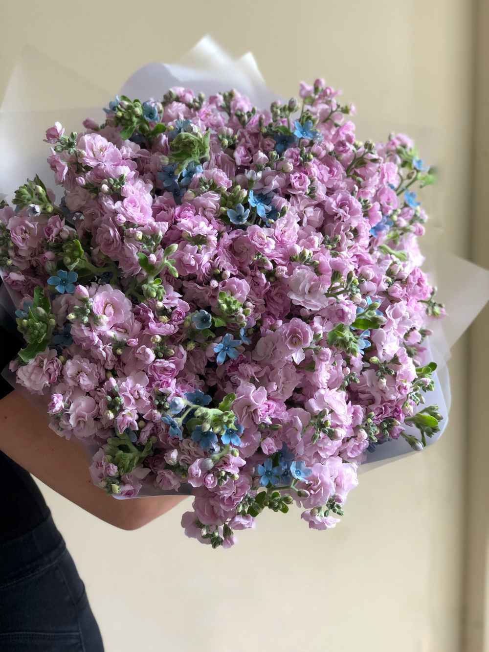 Маттиола #78