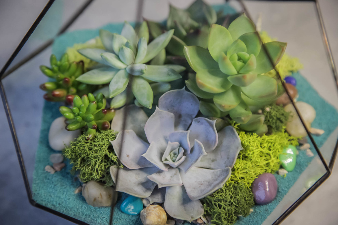 Капля мятная S, M, L, XL