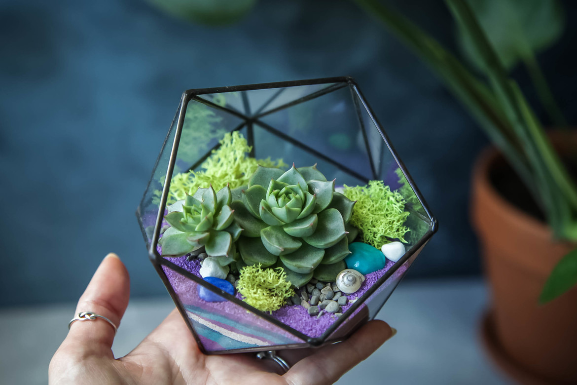 Икосаэдр фиолетовый  S, M, L, XL