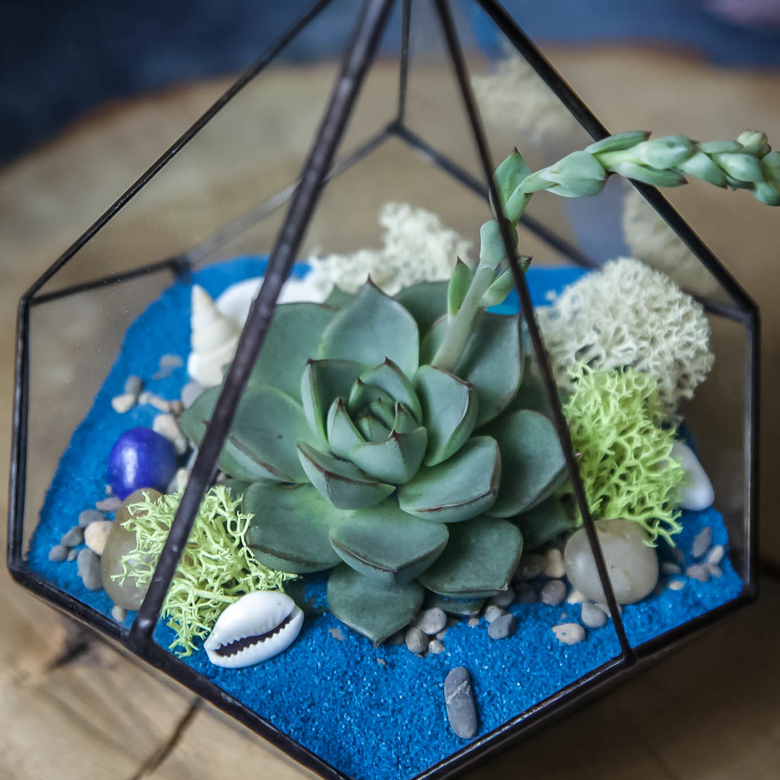 Капля синяя  S, M, L, XL