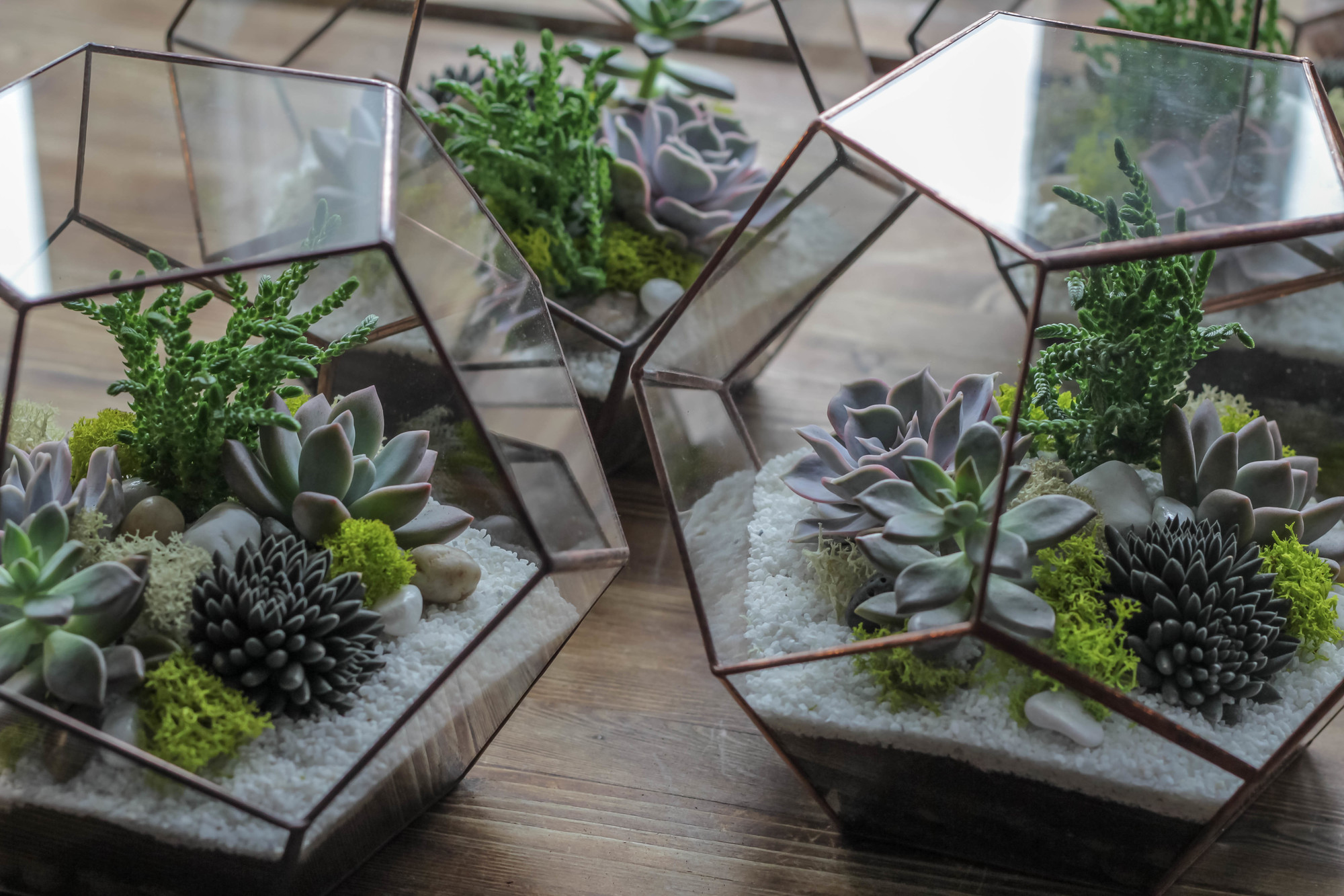 Флорариум Додекаэдр S, M, L, XL