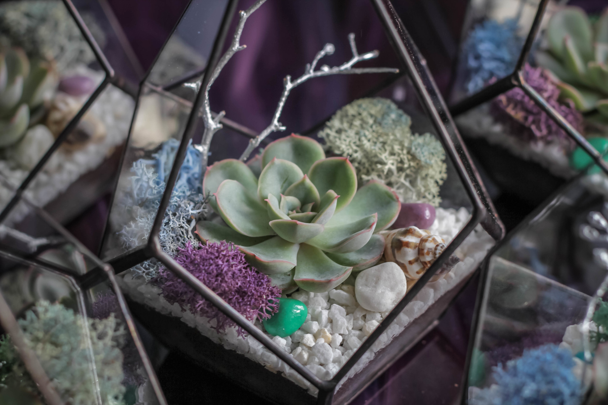 Флорариум Капля Simple S, M