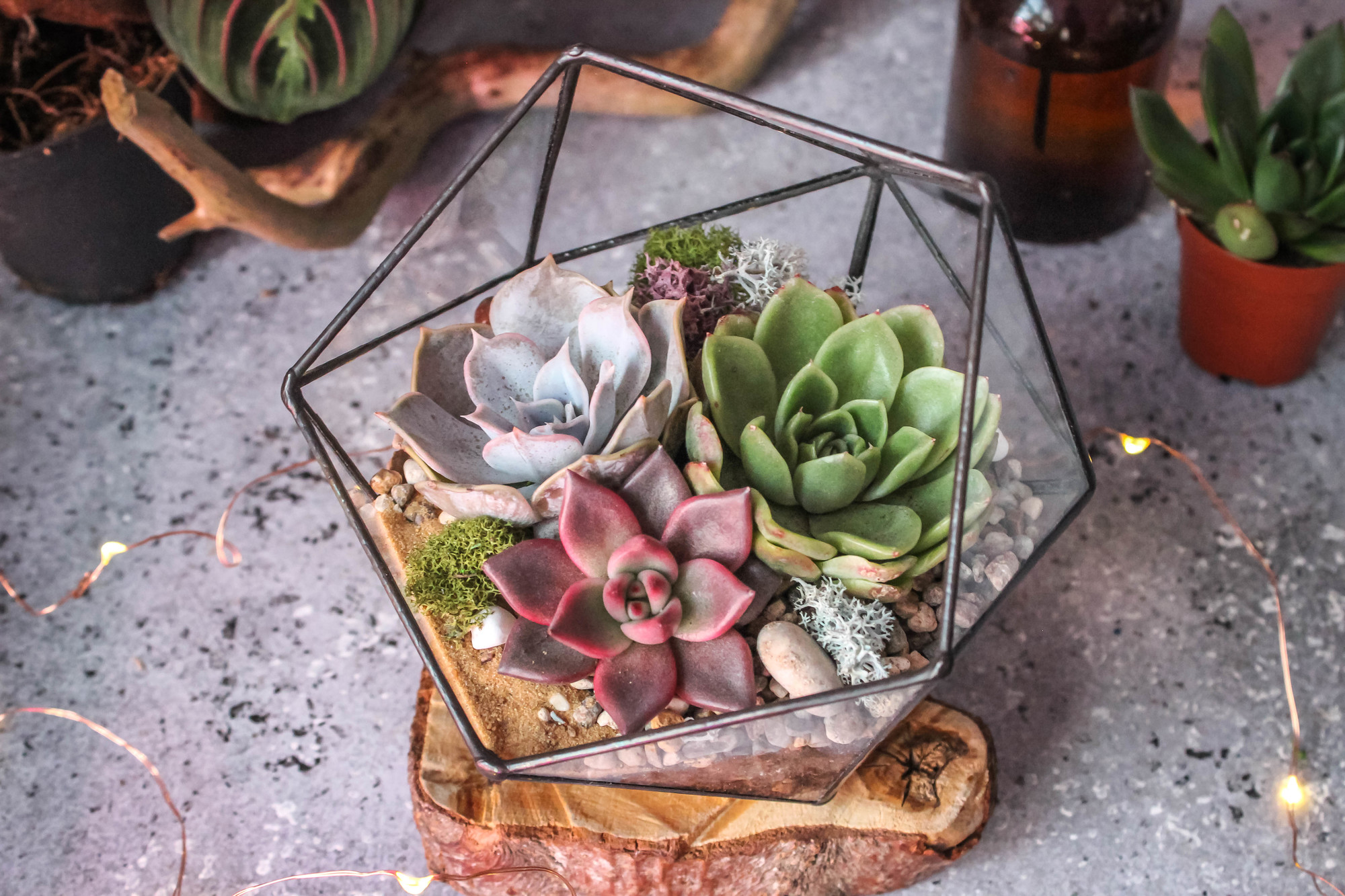 Икосаэдр  "Кофе в лесу" S, M, L, XL