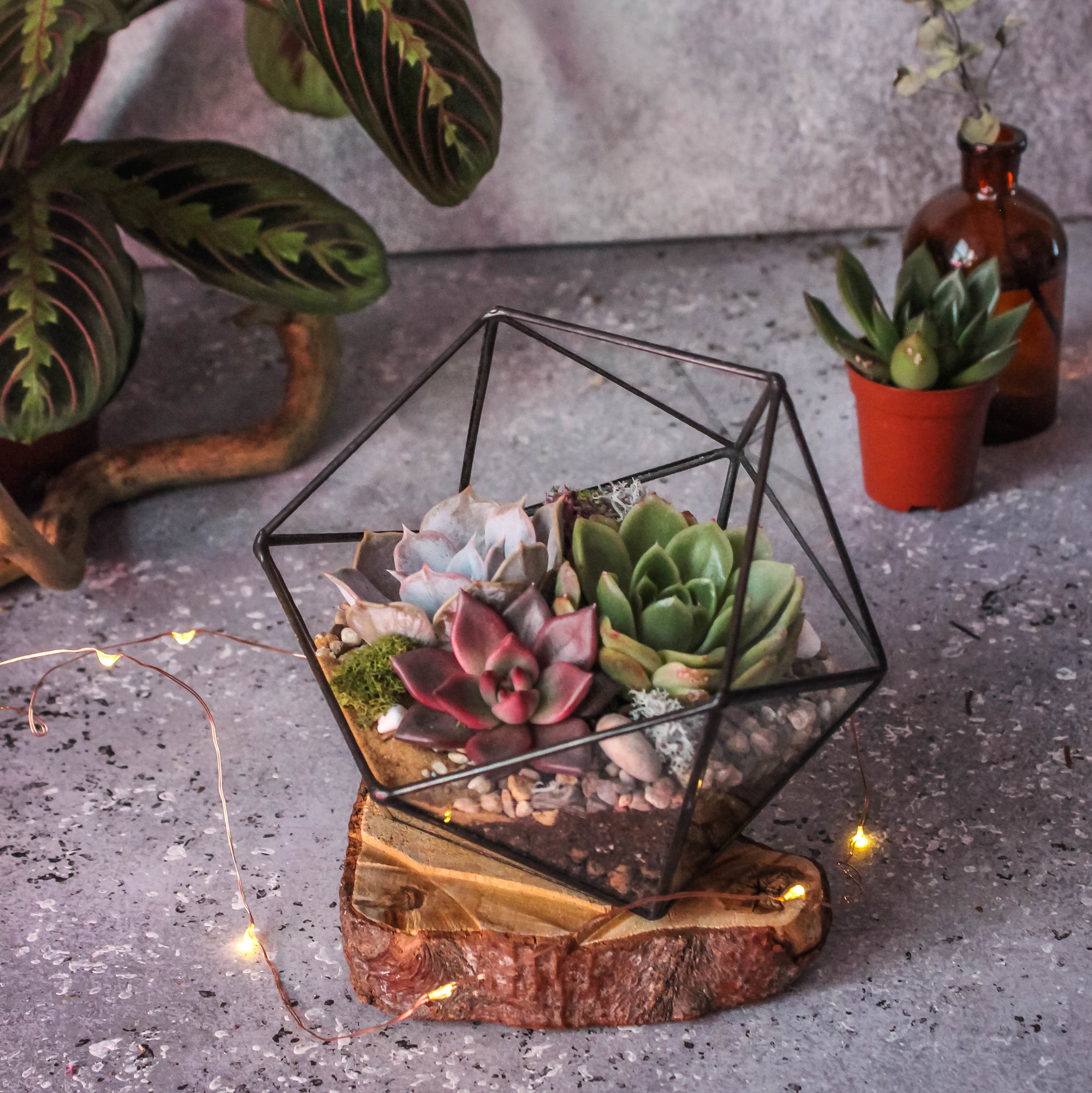 Икосаэдр  "Кофе в лесу" S, M, L, XL