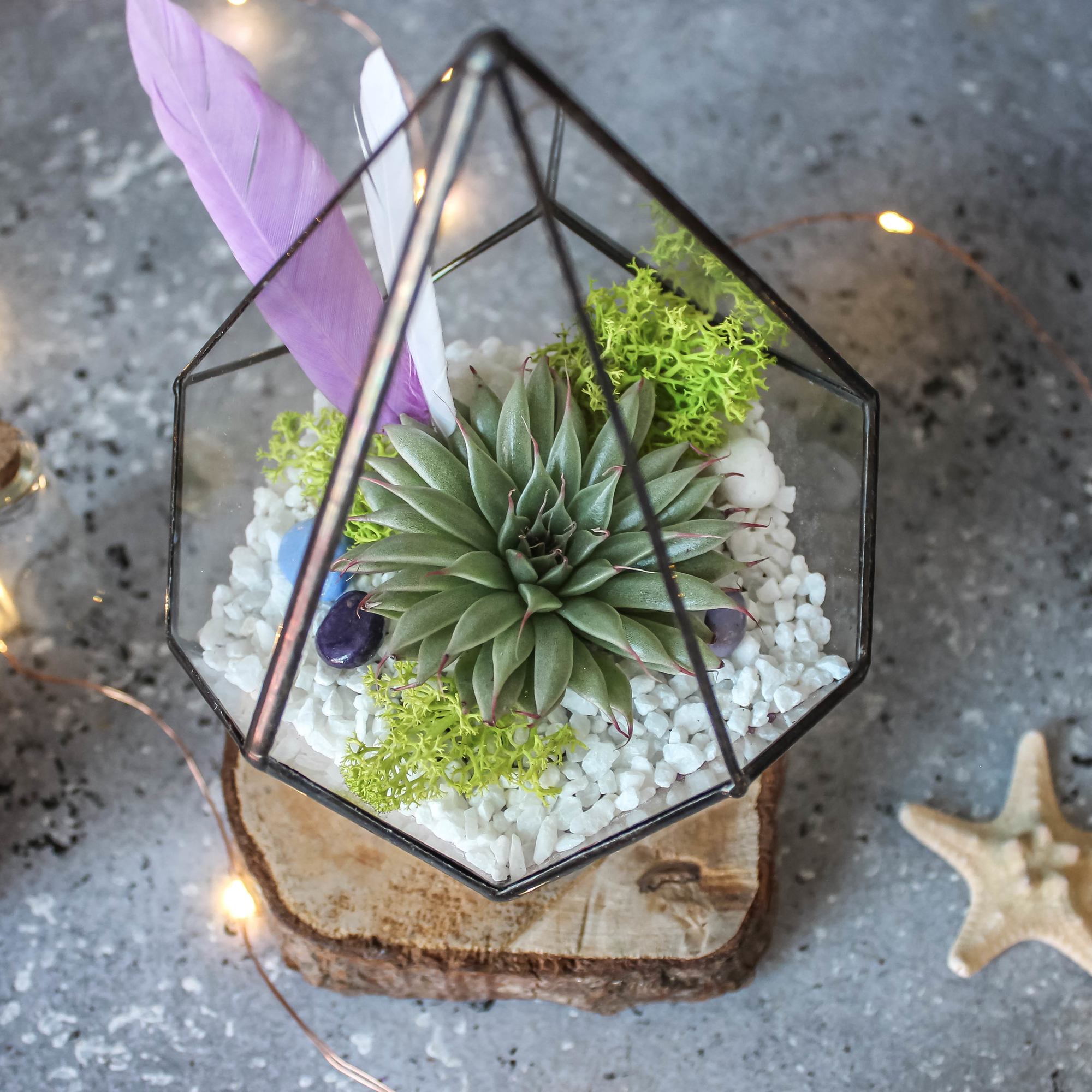 Флорариум Капля с перышкамии и цветными песками