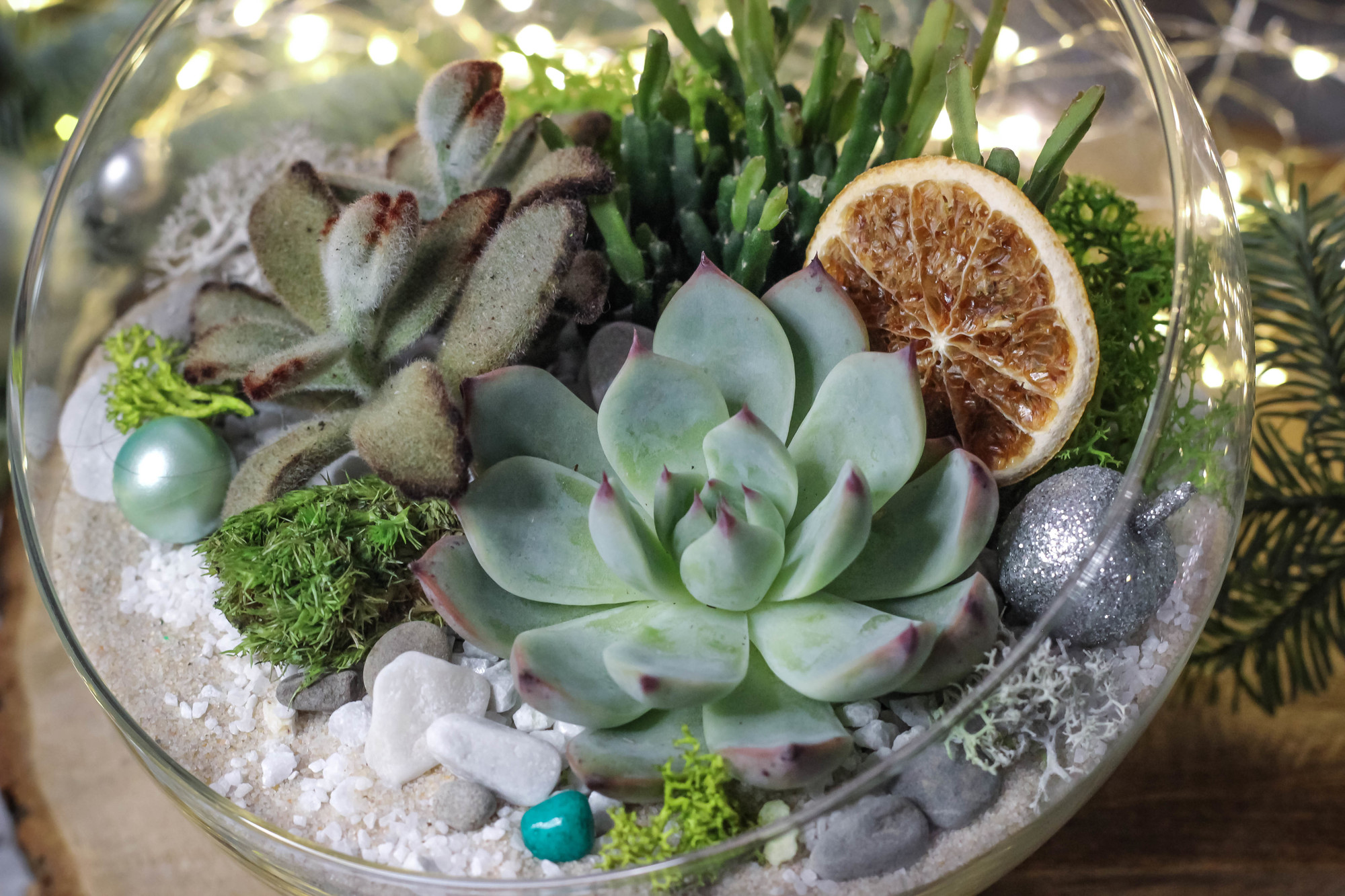 Новогодняя Полусфера