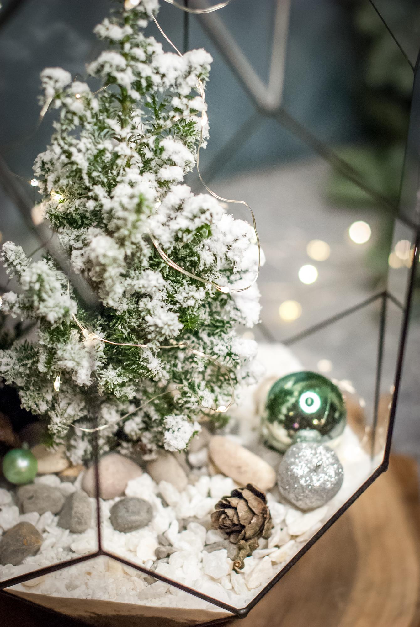 Кипарисовик в Андромеде