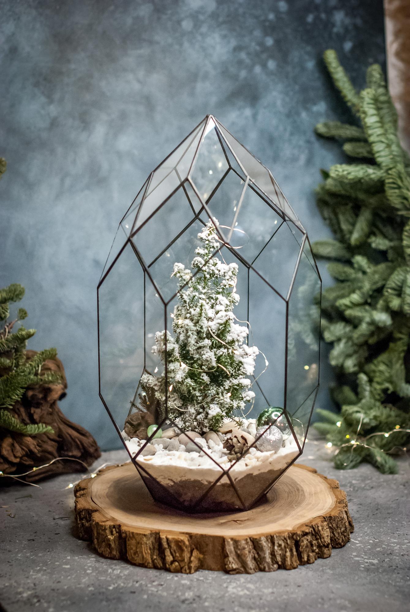 Кипарисовик в Андромеде