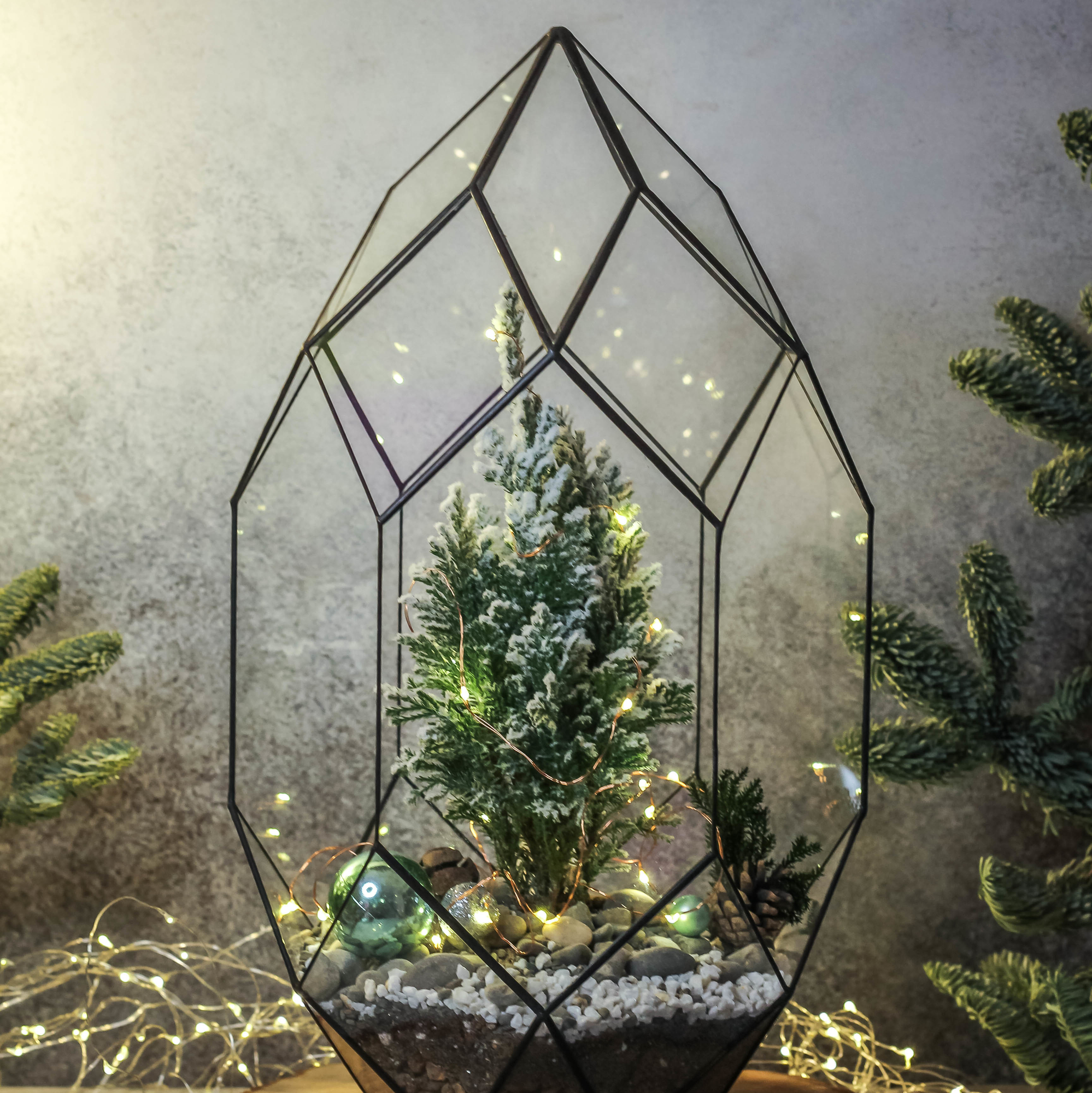 Кипарисовик в Андромеде