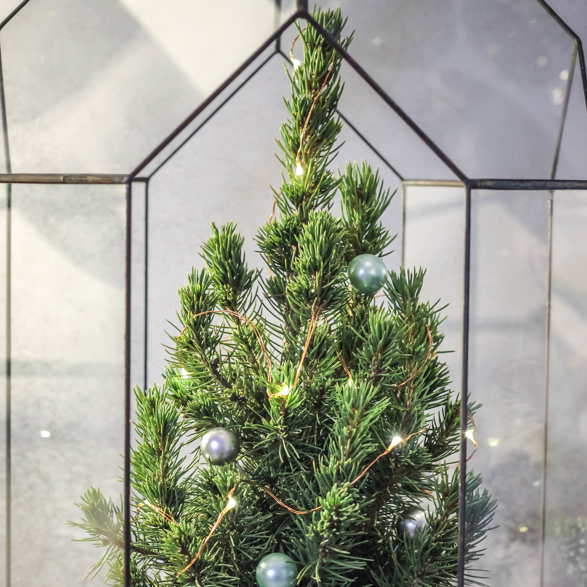 Бонсариум 45 см с ёлочкой