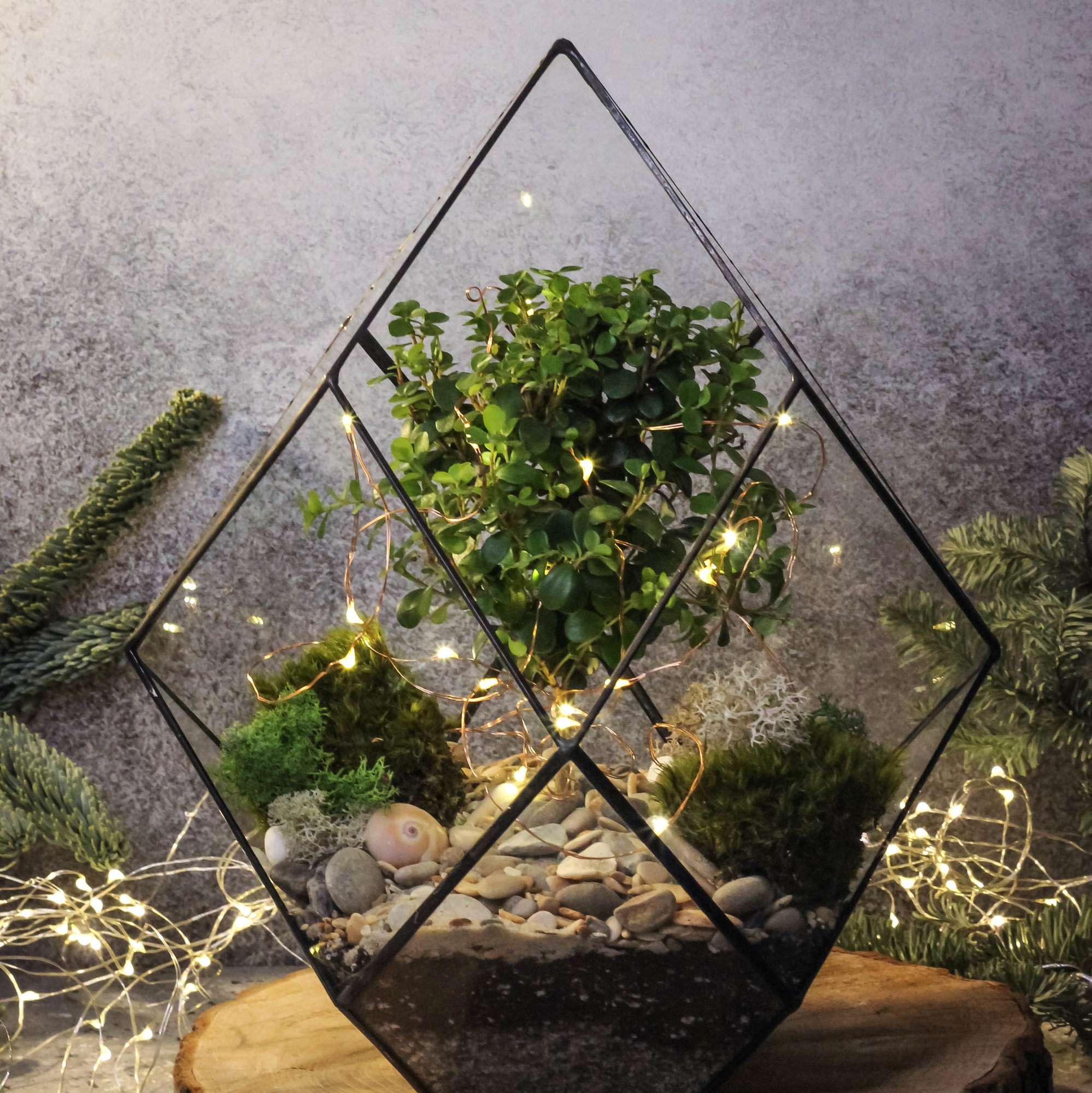 Кристалл М с мирсиной