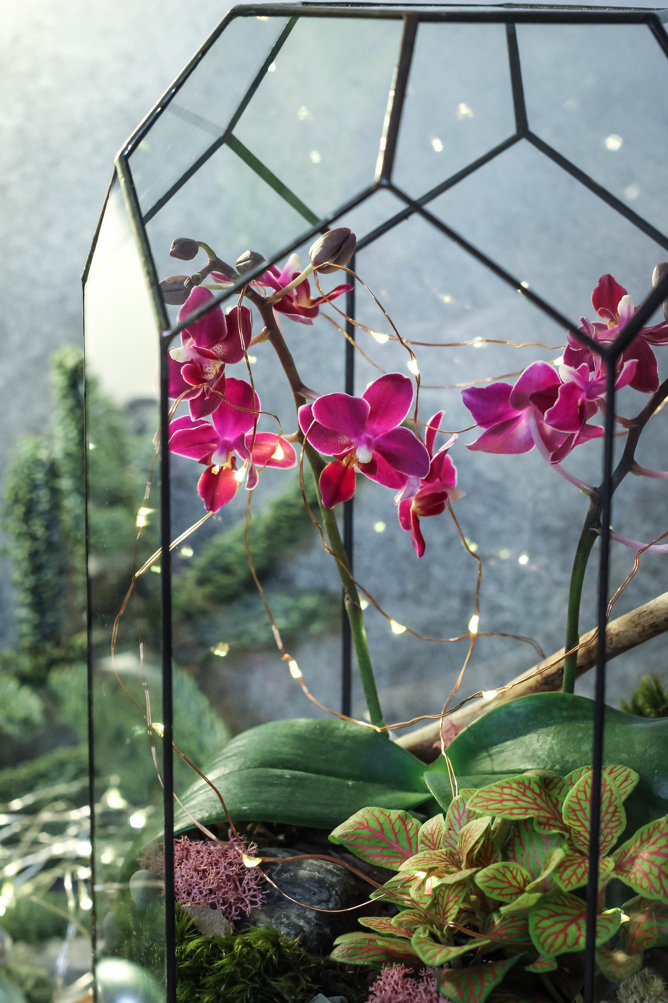 Оазис с орхидеей