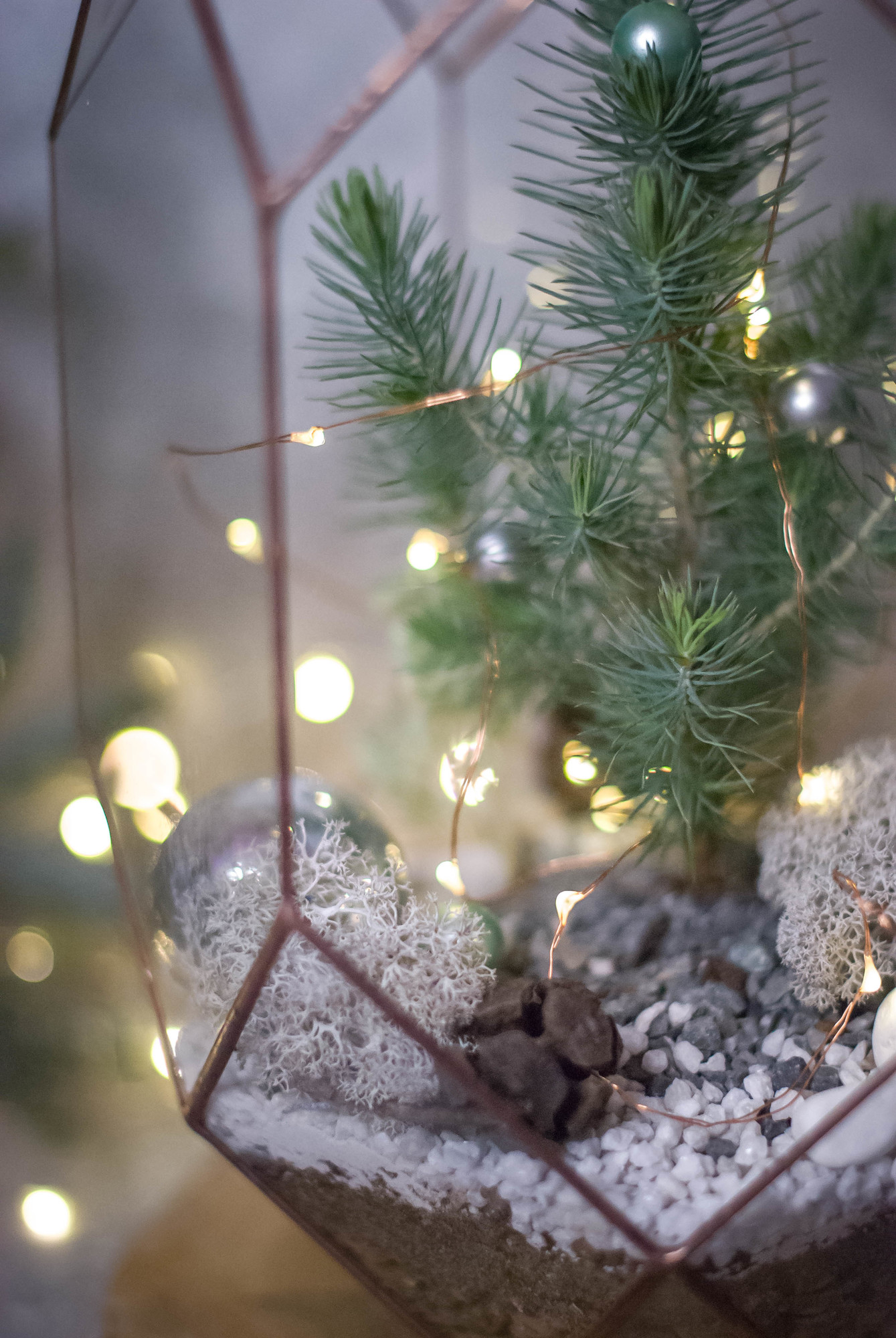 Андромеда с ёлочкой