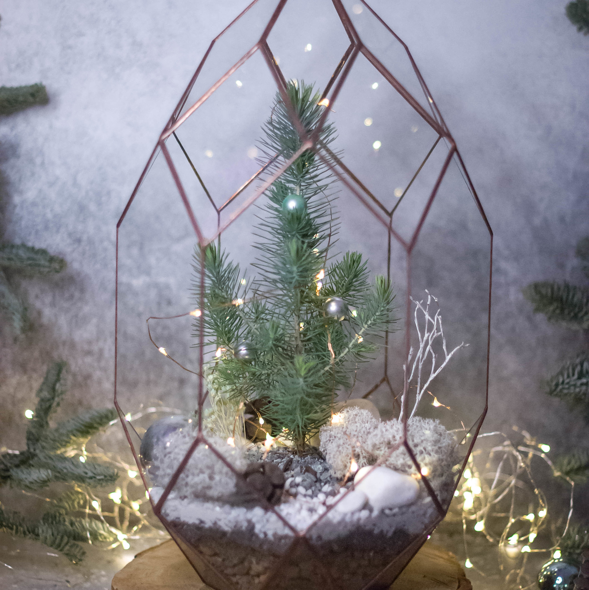 Андромеда с ёлочкой