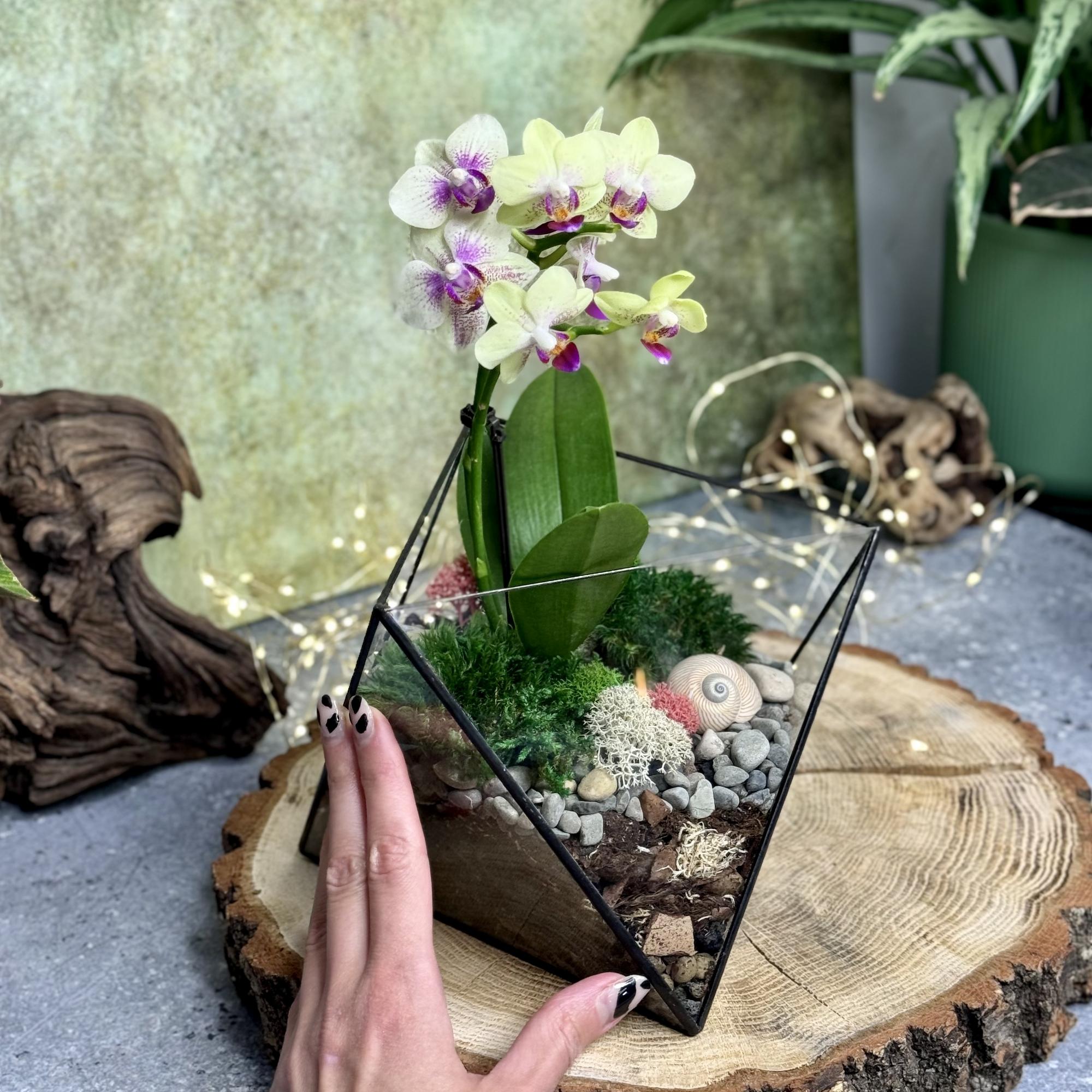 Октаэдр с орхидеей