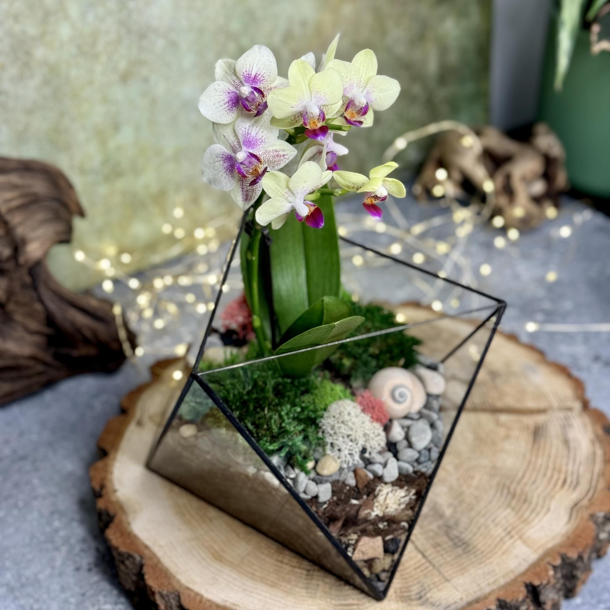 Октаэдр с орхидеей