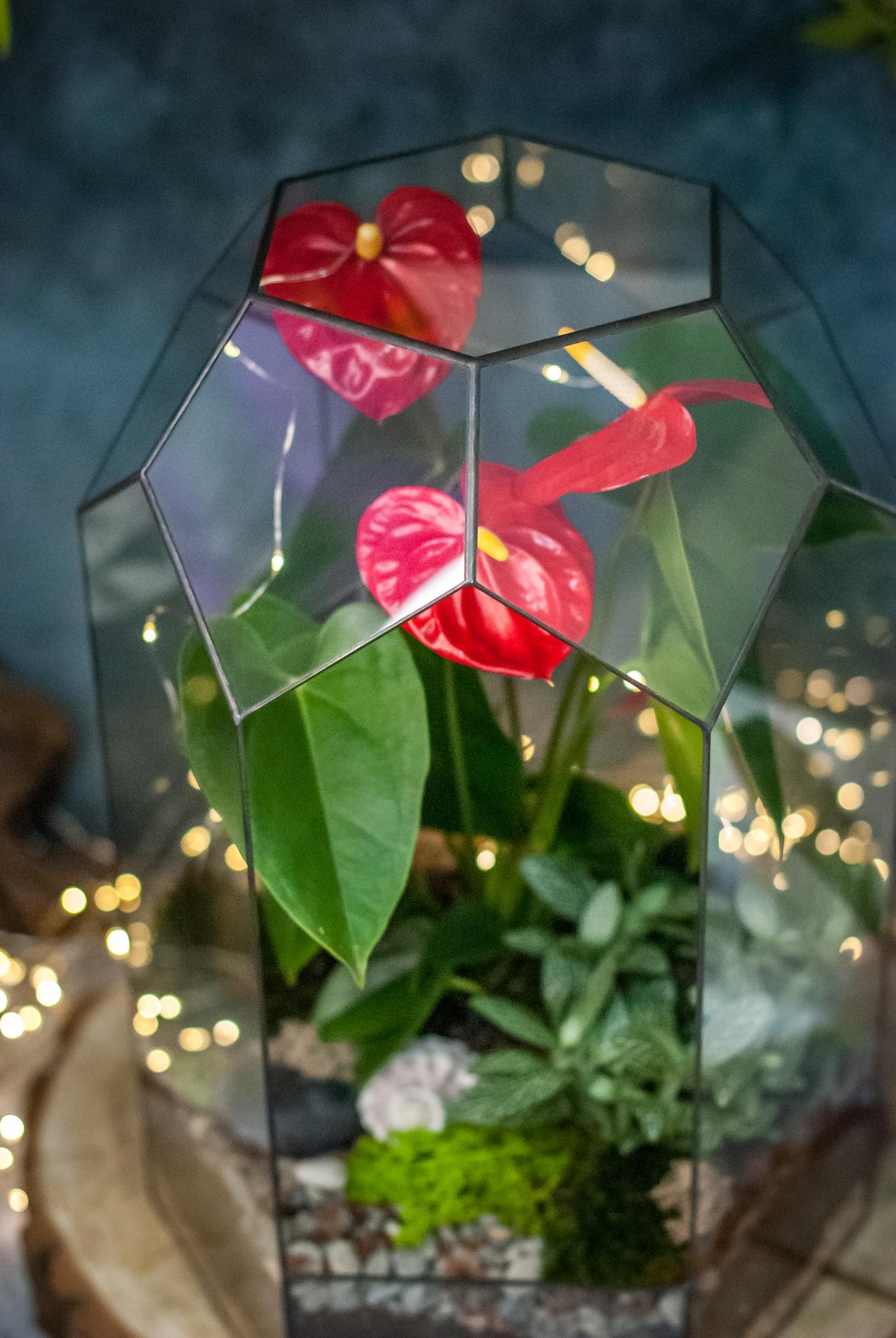 Tropicana Red 45 см