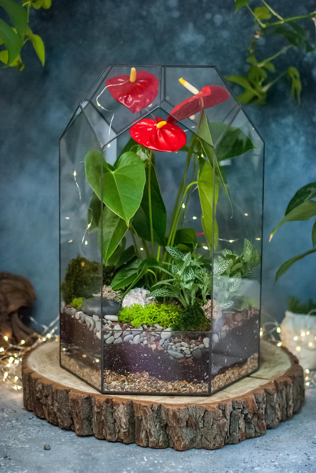 Tropicana Red 45 см