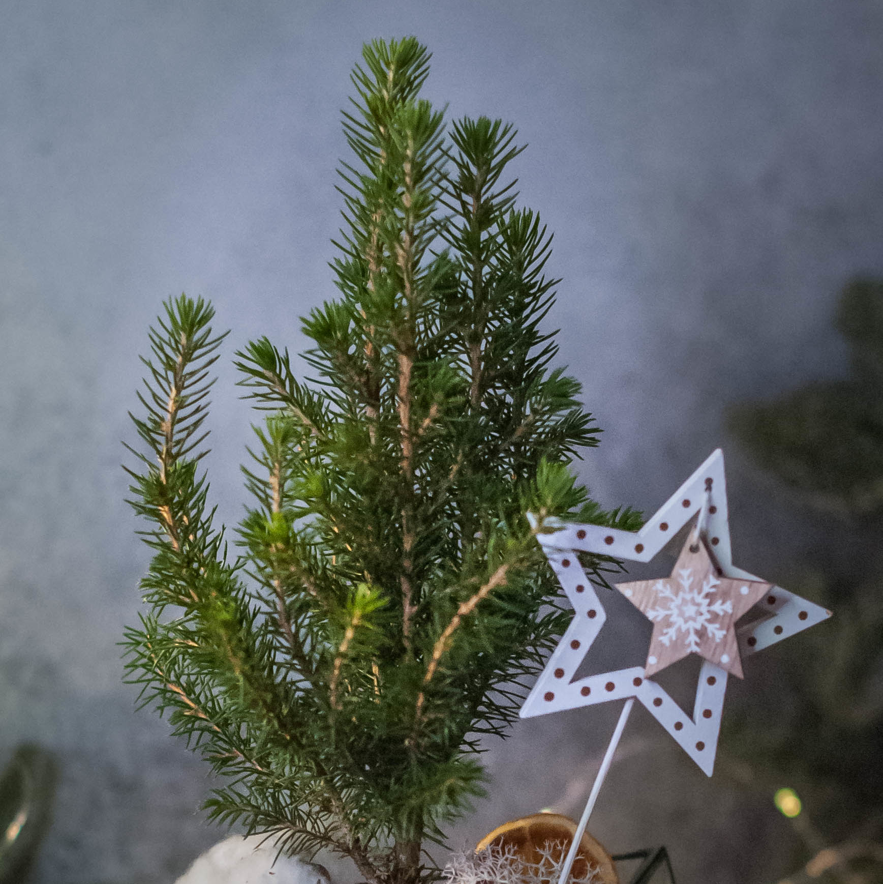 Ёлочка в Октаэдре