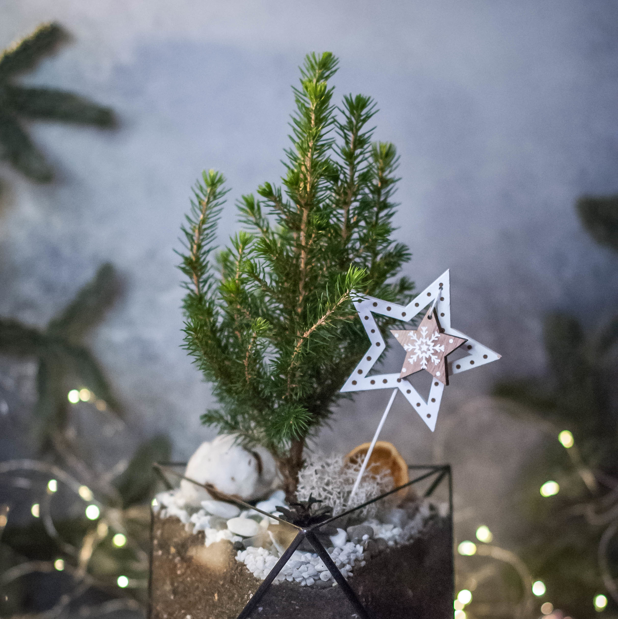 Ёлочка в Октаэдре