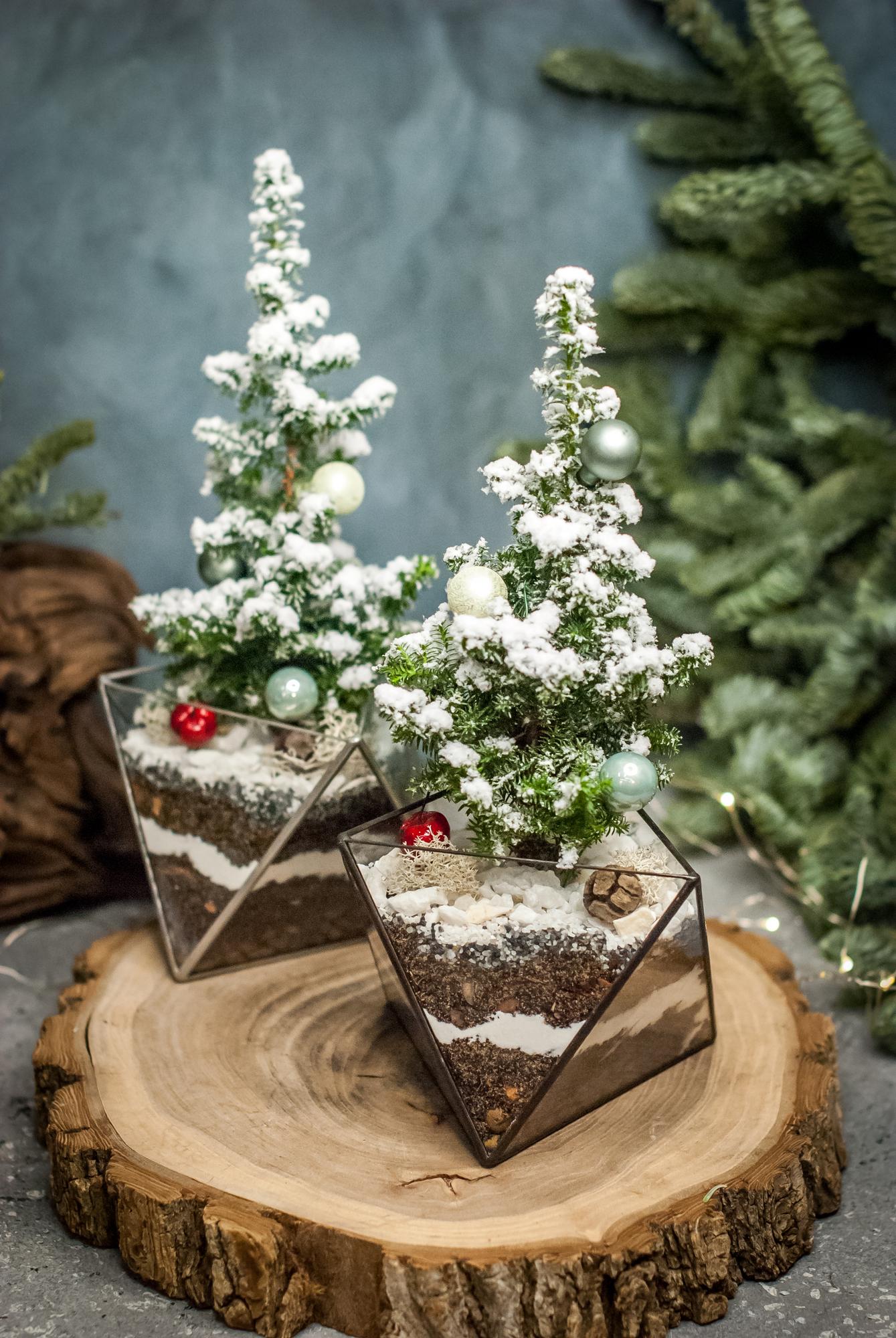 Кипарисовик в Октаэдре M, S