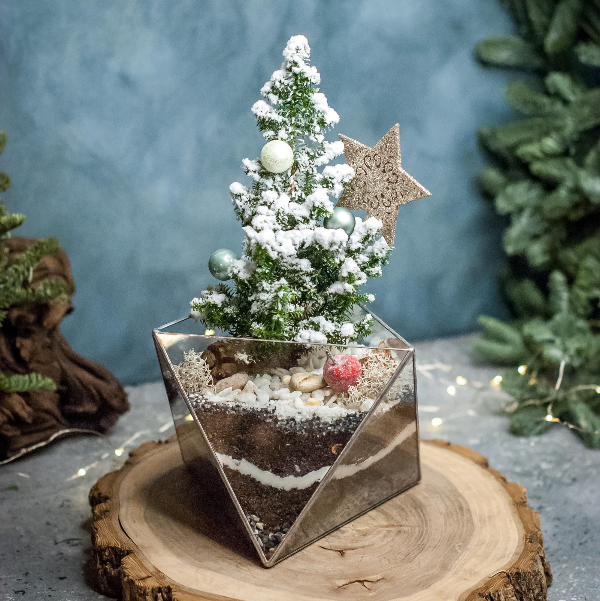 Кипарисовик в Октаэдре M, S