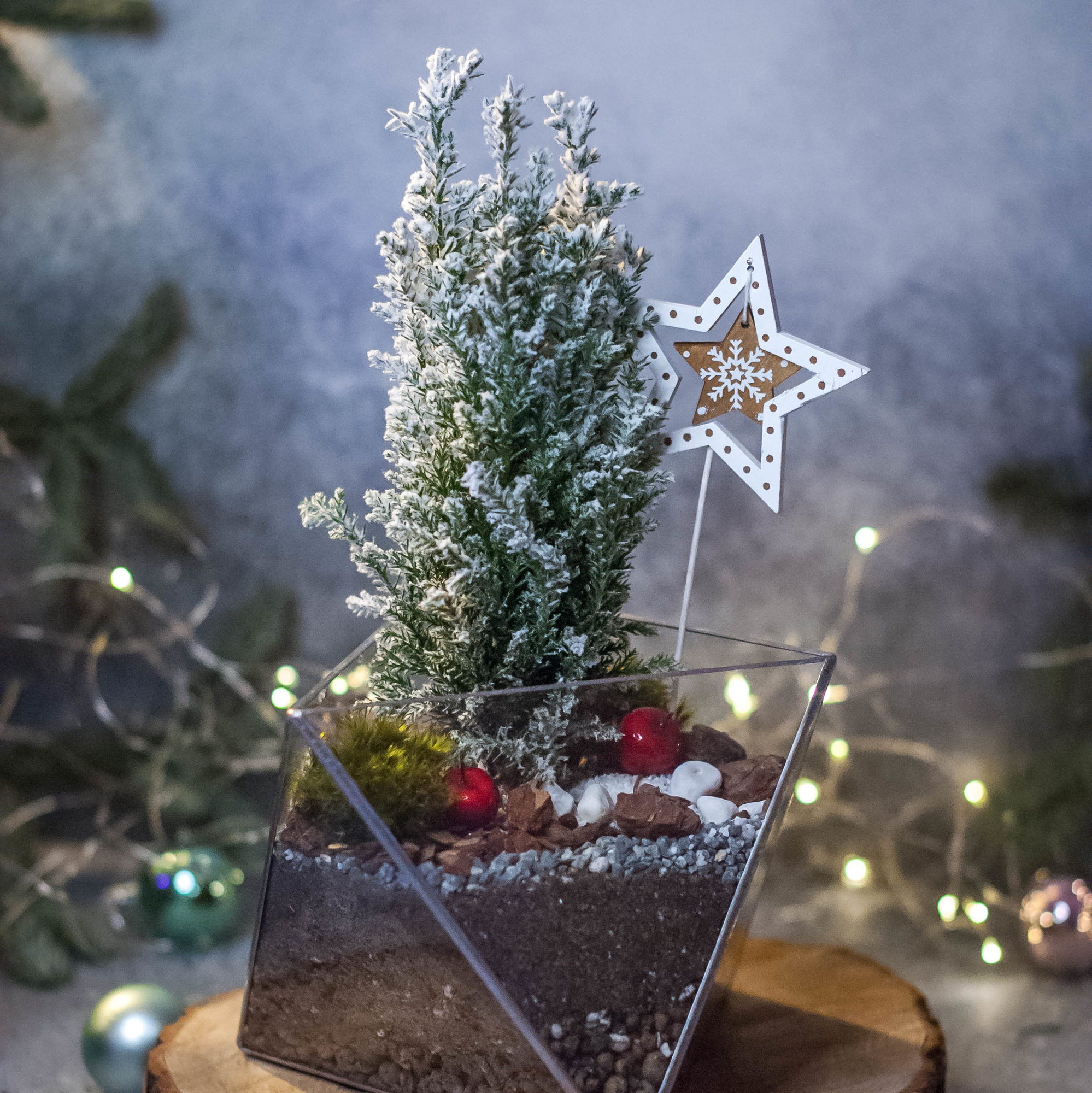 Кипарисовик в Октаэдре M, S