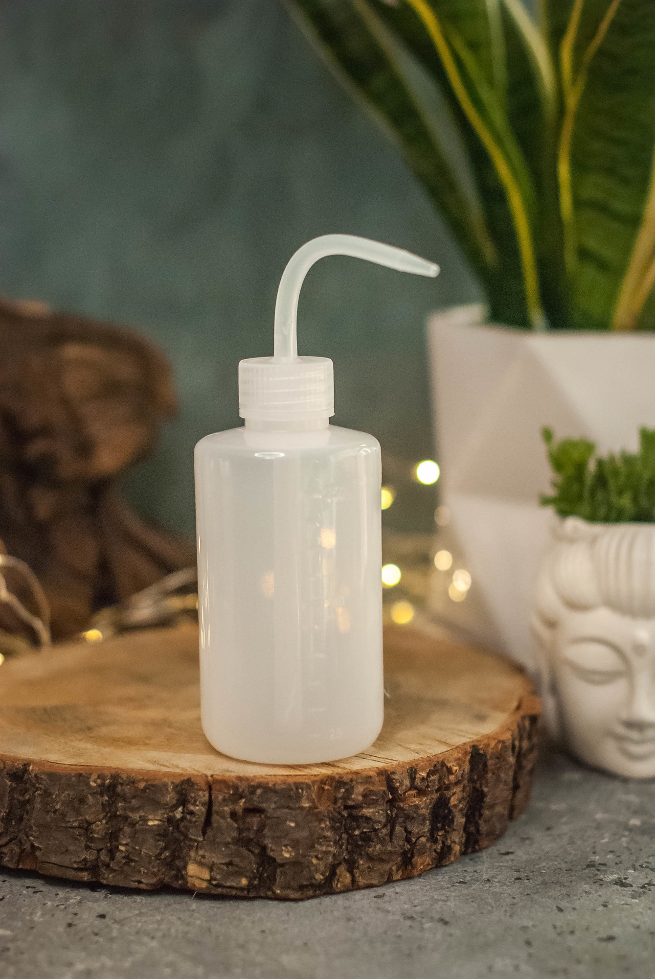 Леечка для полива флорариума