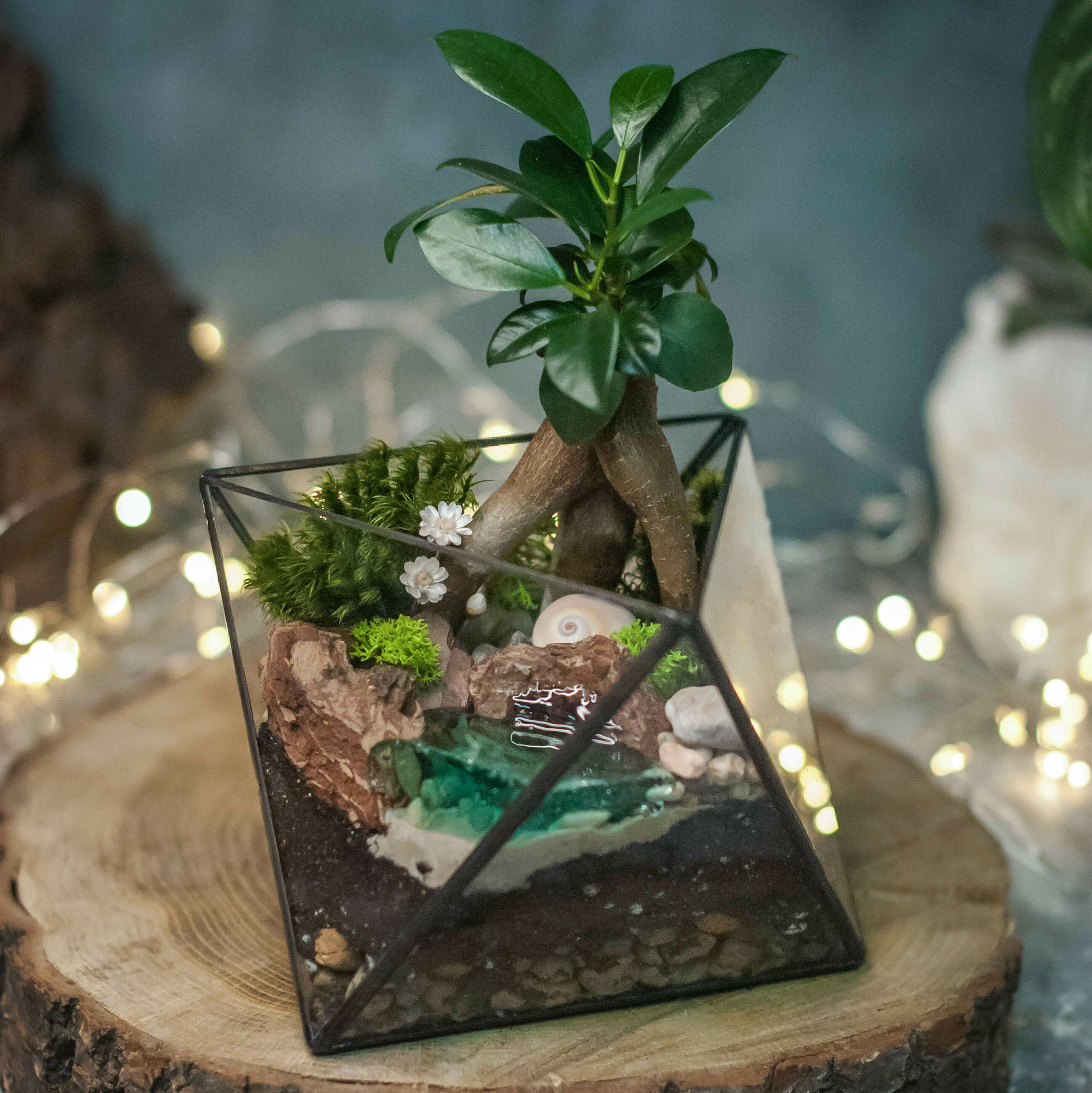 Бонсай в Октаэдре S, M с водоёмом