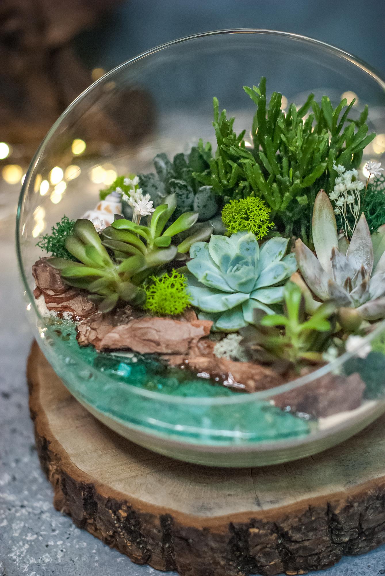 Полусфера с суккулентами и водоёмом S, M, L