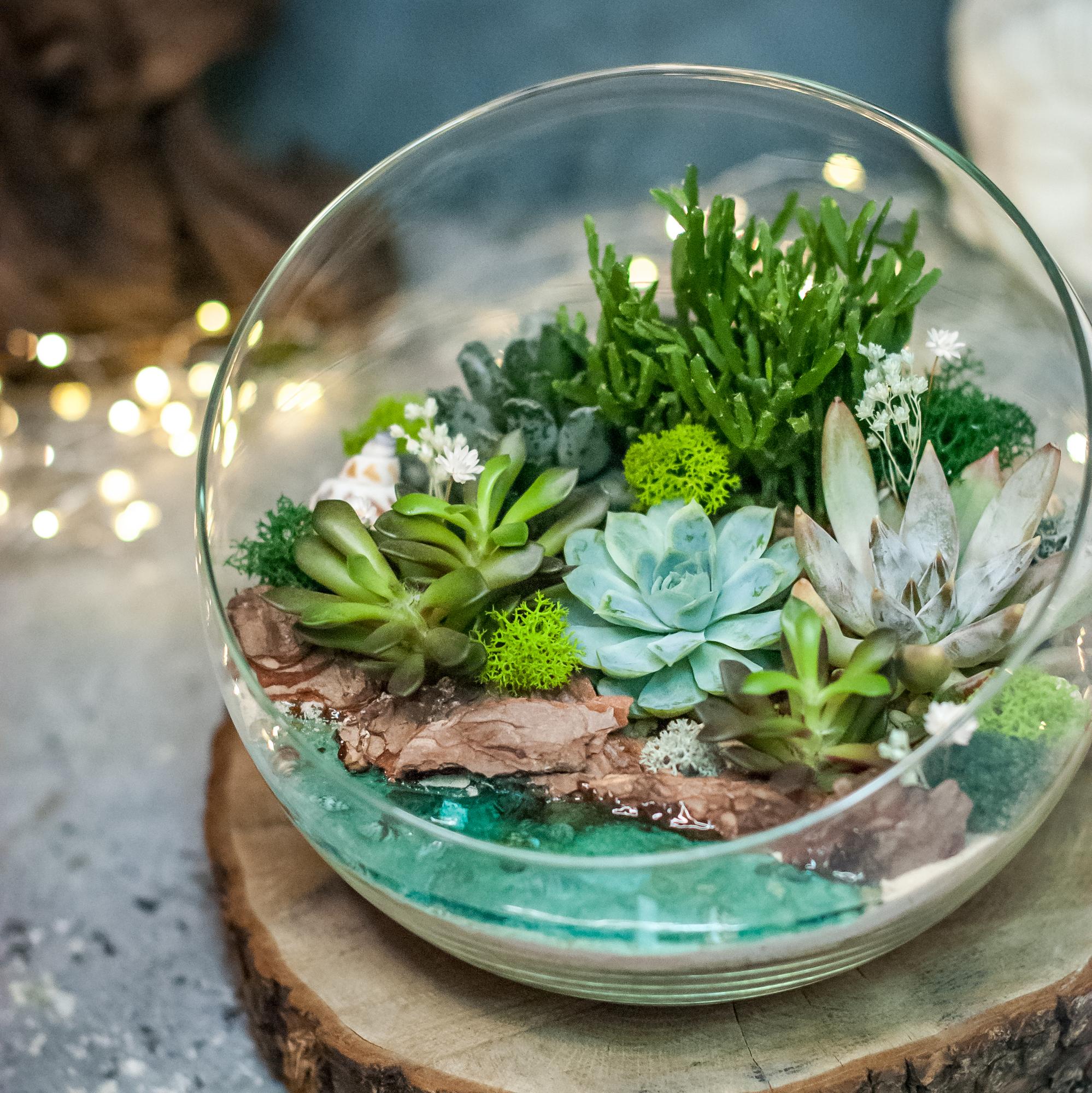 Полусфера с суккулентами и водоёмом S, M, L