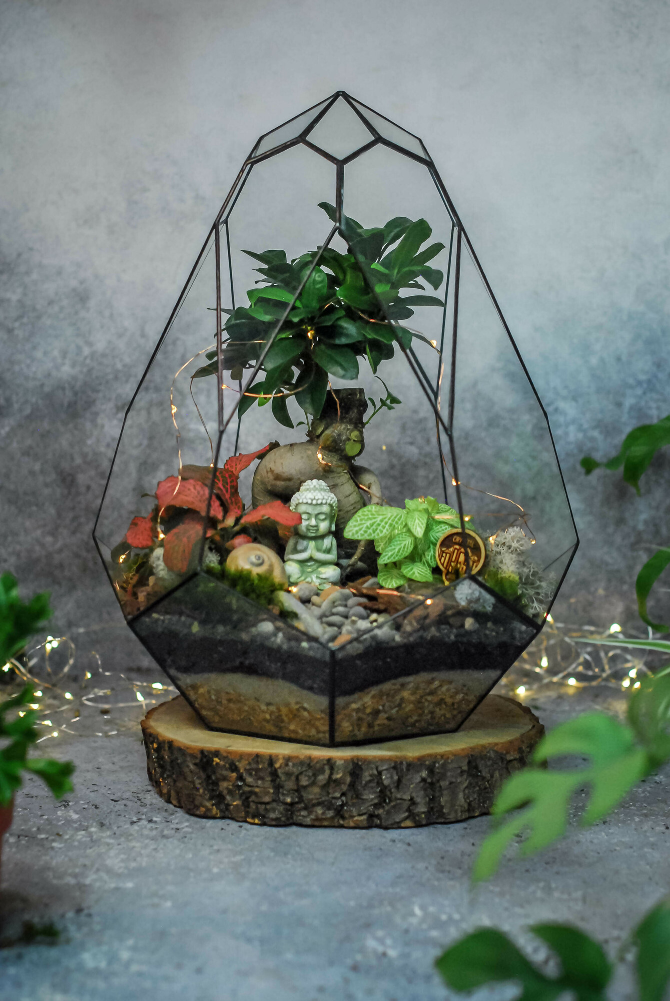 Сириус 40 см с бонсаем и фиттониями