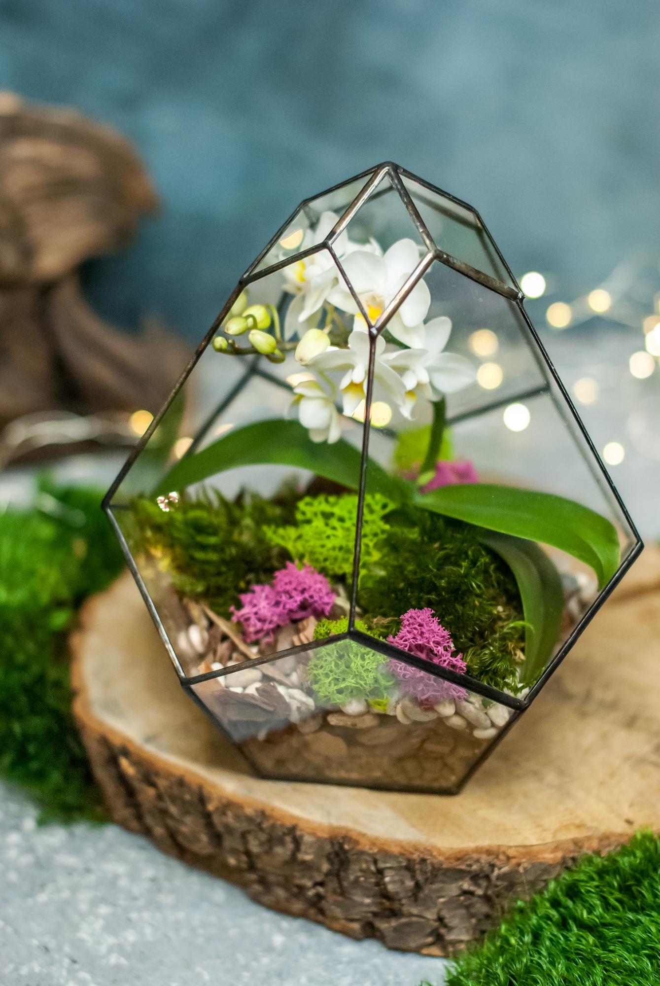 Бутон с орхидеей