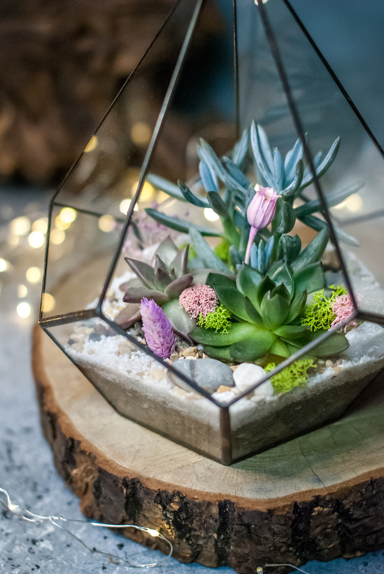 Флорариум Капля Весенняя