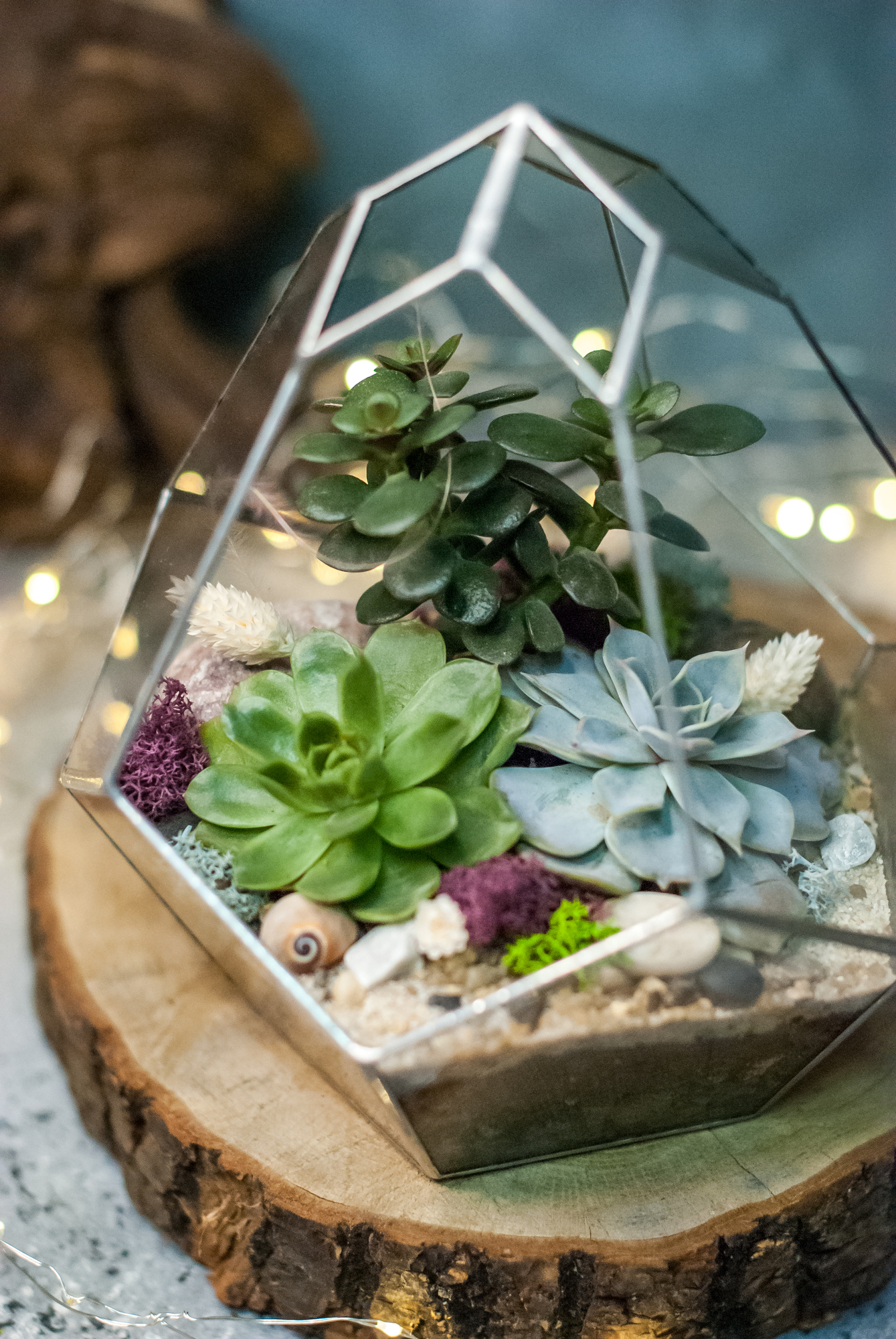 Флорариум Бутон с суккулентами