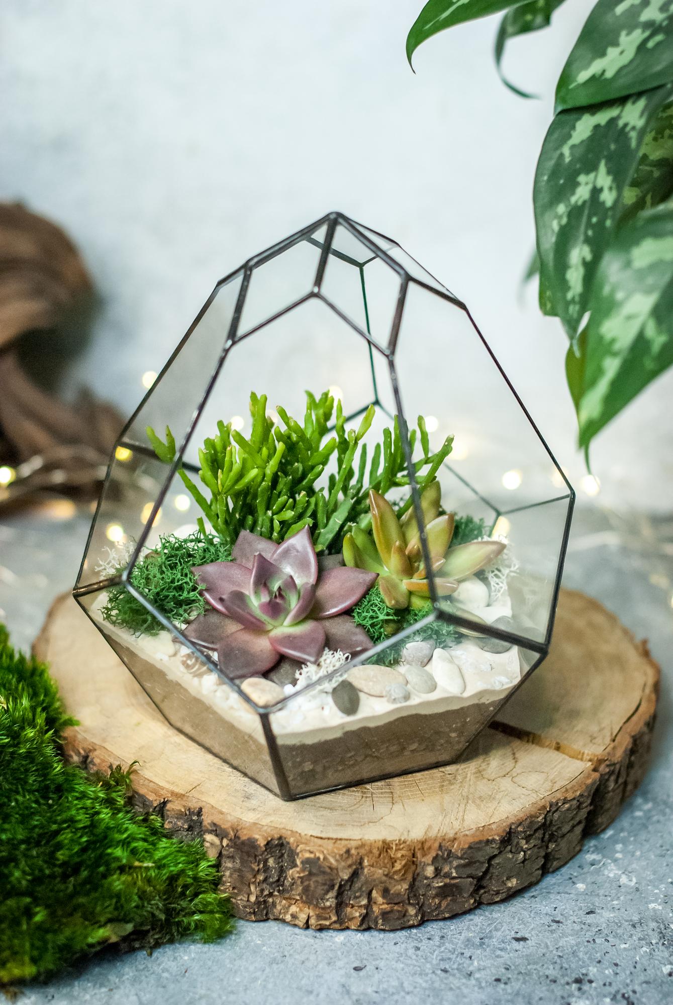 Флорариум Бутон с суккулентами