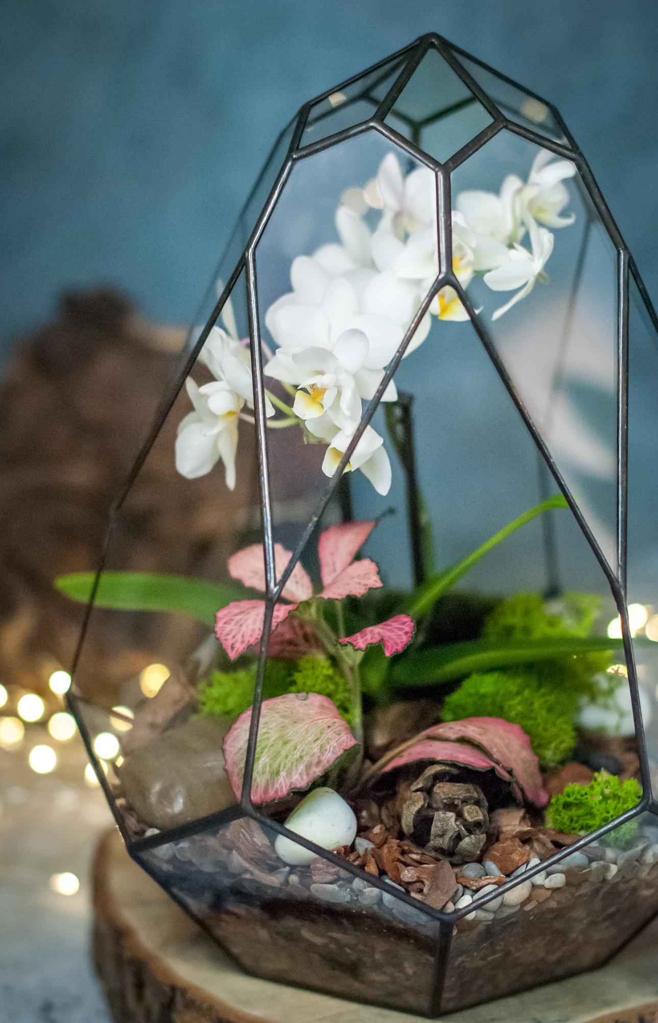 Орхидариум Сириус S