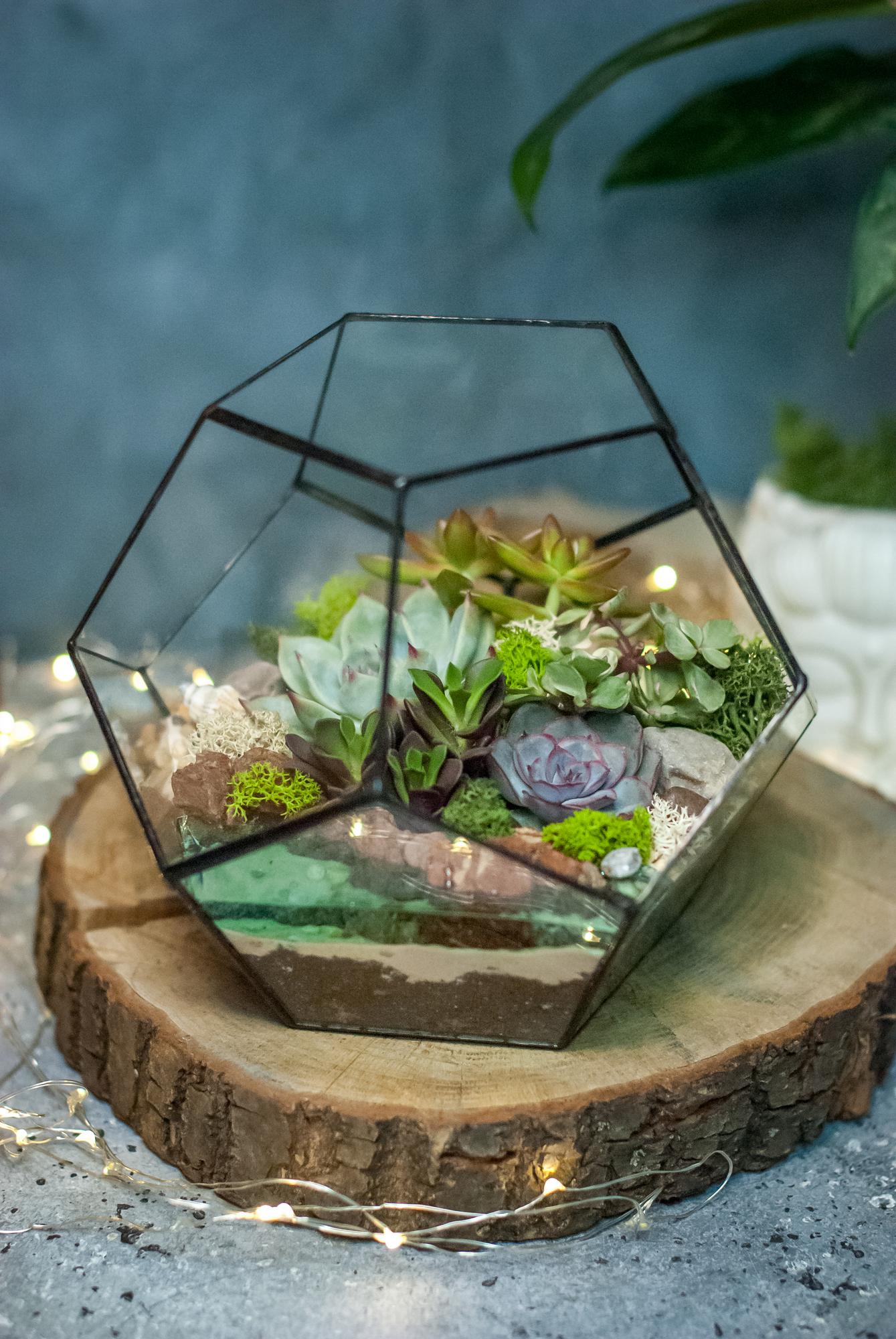 Додекаэдр с суккулентами и озером M L XL