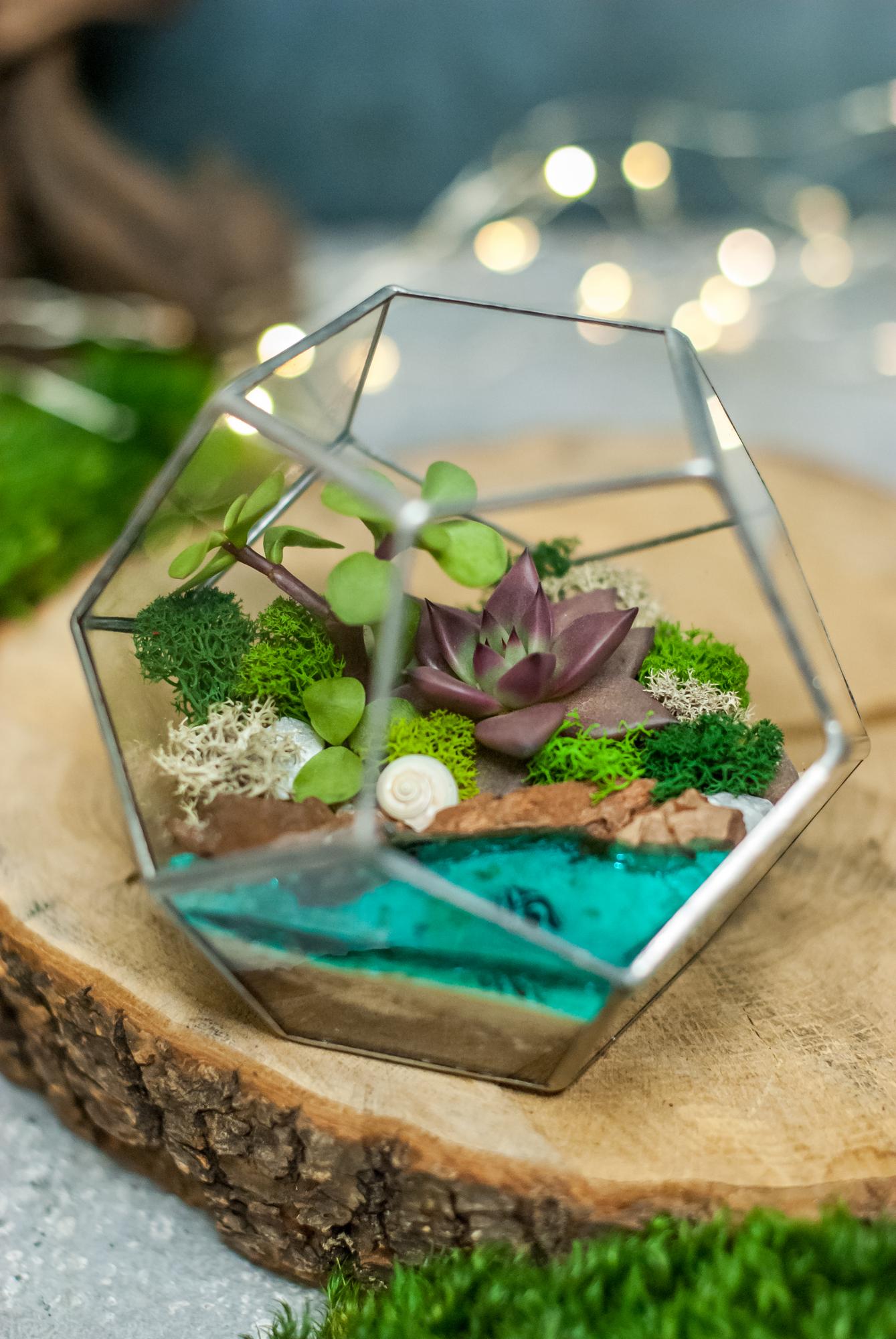 Додекаэдр S с суккулентами и озером