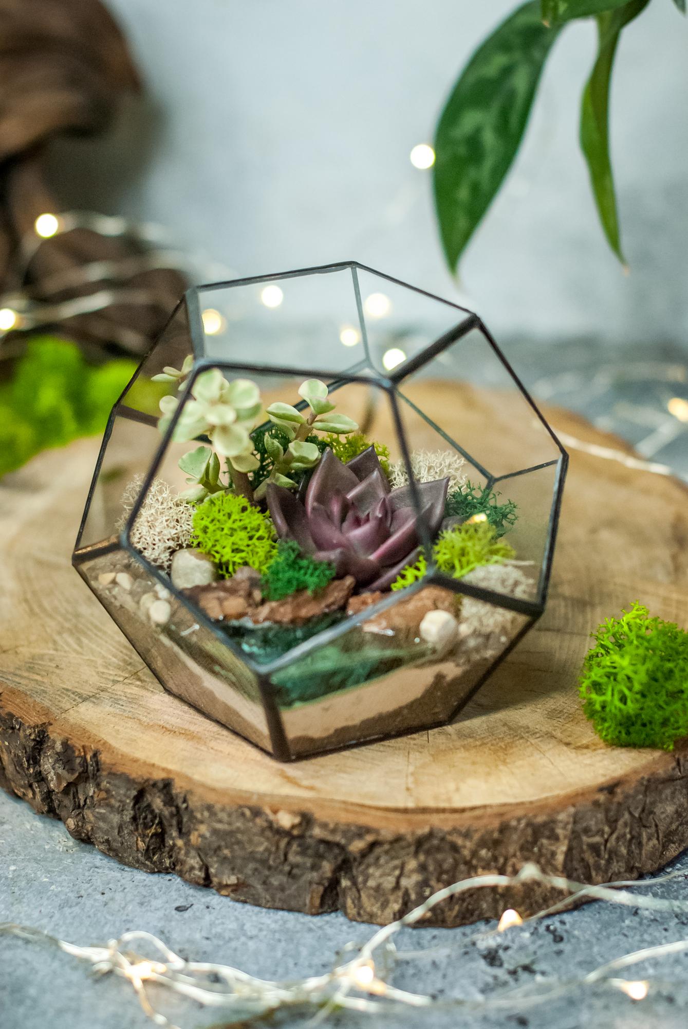 Додекаэдр S с суккулентами и озером