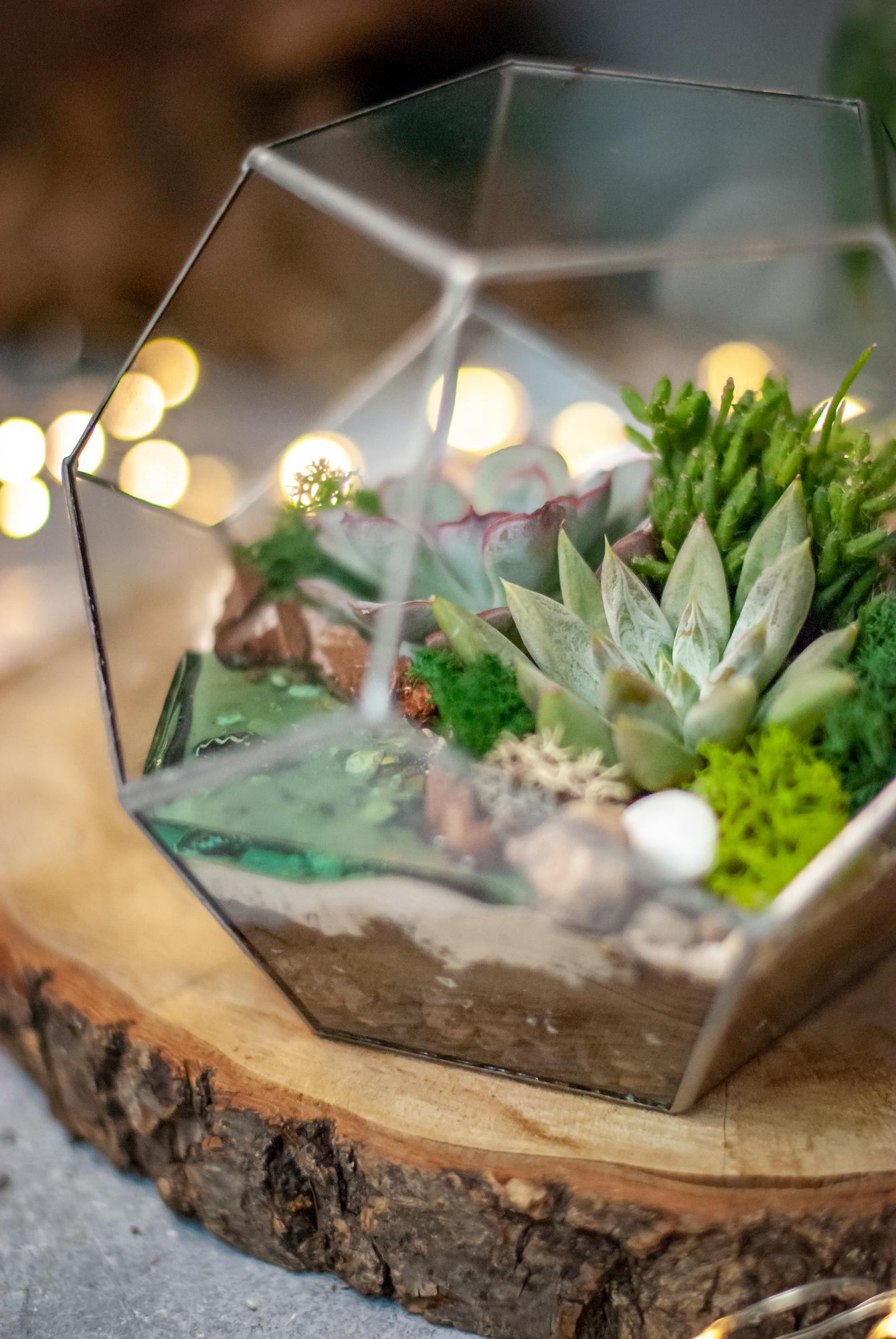 Додекаэдр с суккулентами и водоёмом
