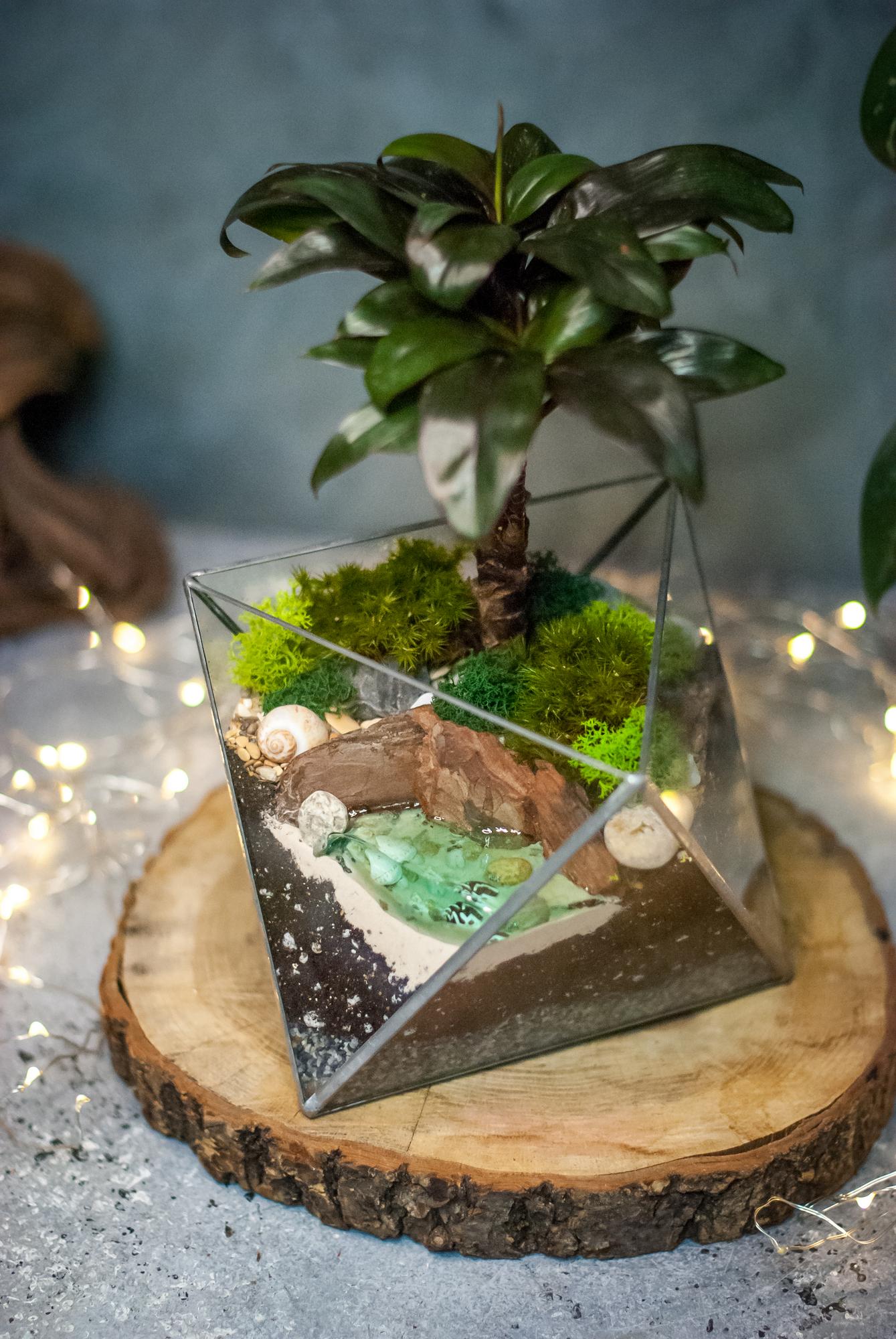 Октаэдр М с Кордилиной и озером