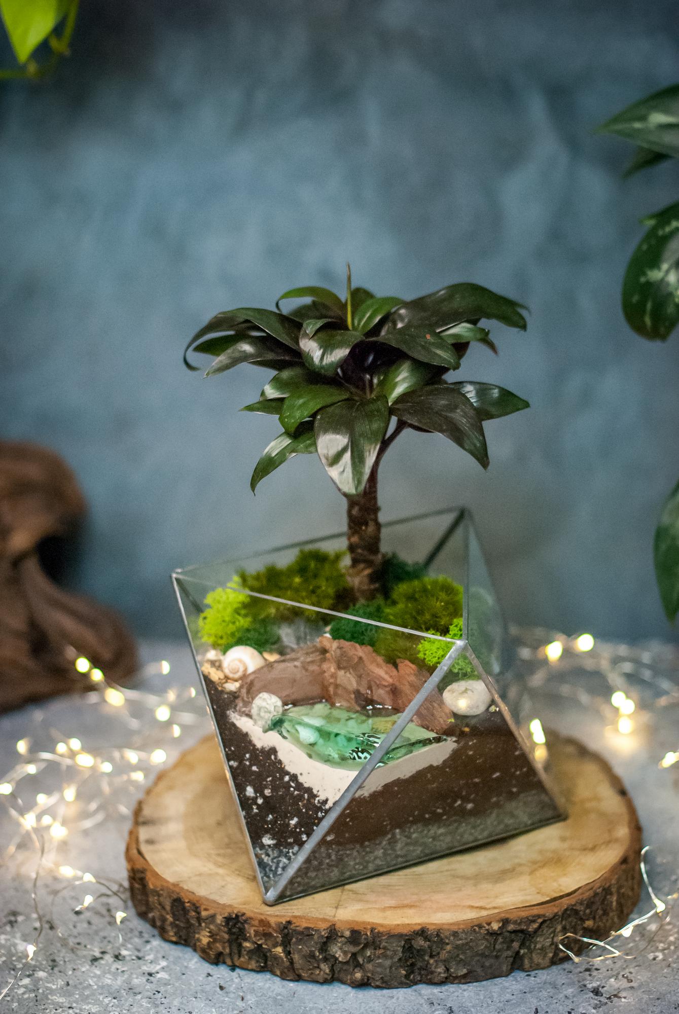 Октаэдр М с Кордилиной и озером