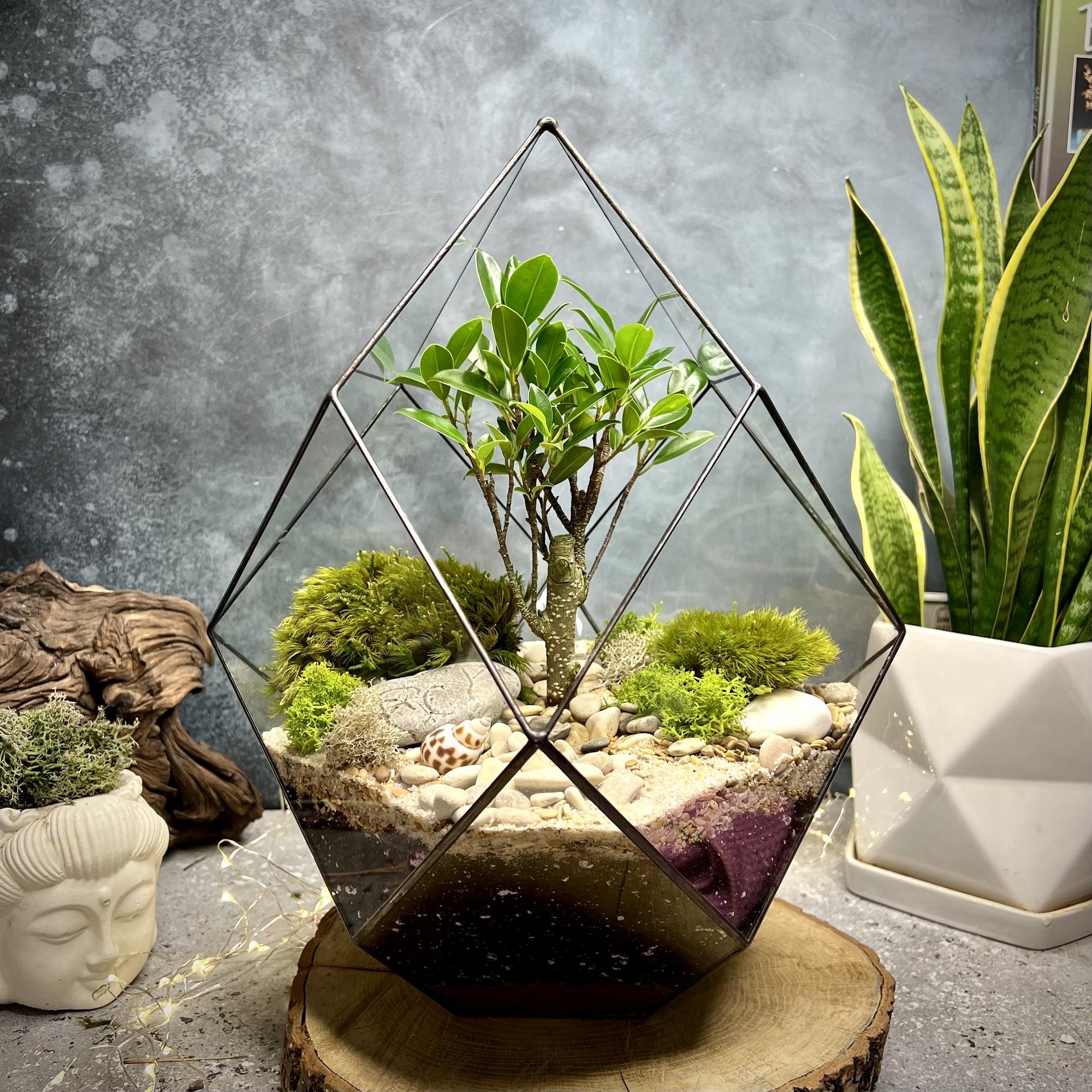 Кристалл L с бонсаем Ретуса