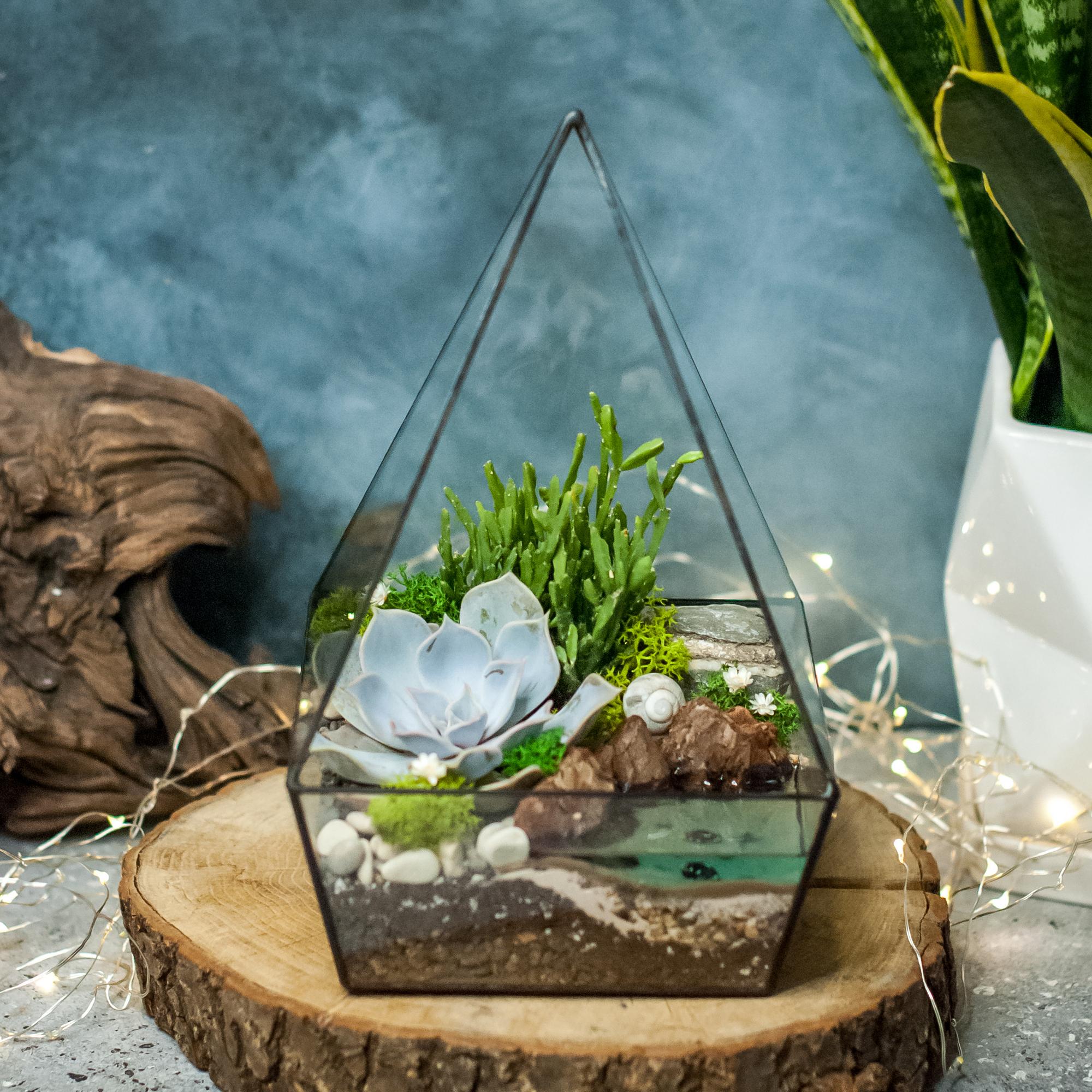 Пирамида с суккулентами и водоёмом