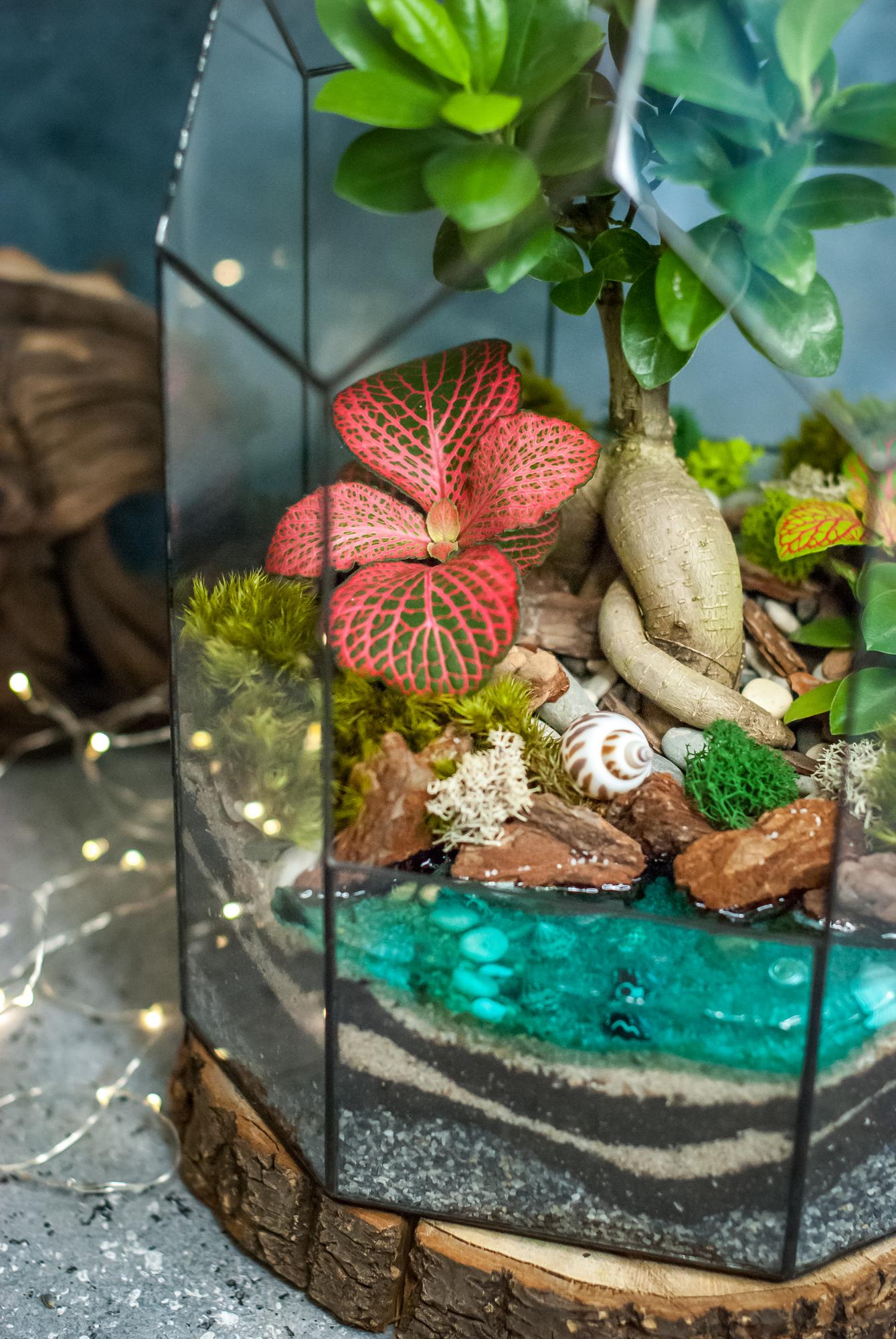 Бонсариум 35 см. с фикусом Гинсенг, фиттонией и озером