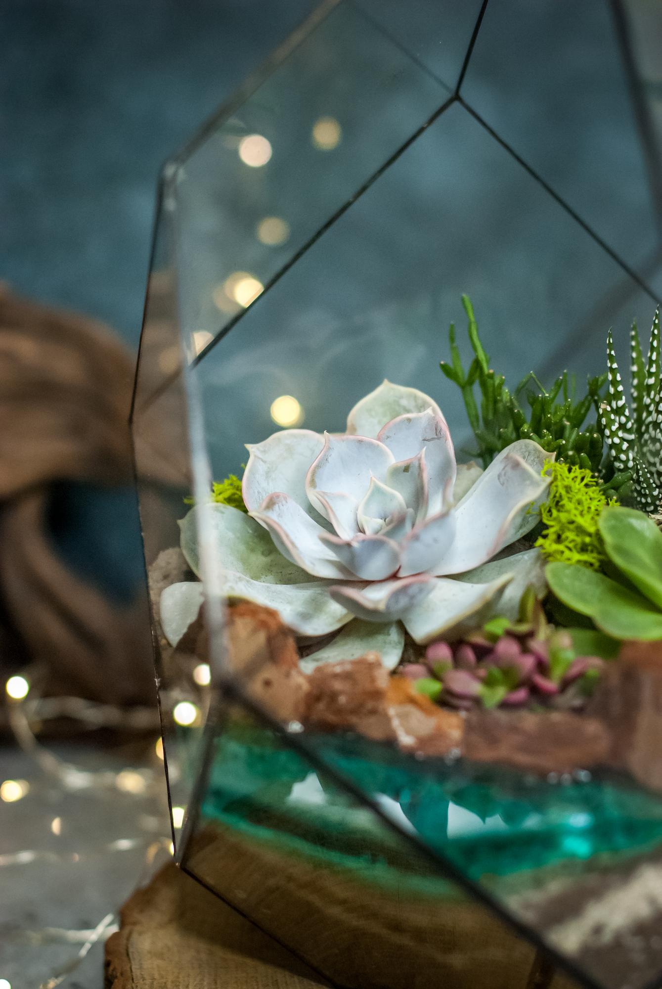 Кристалл М с суккулентами и озером