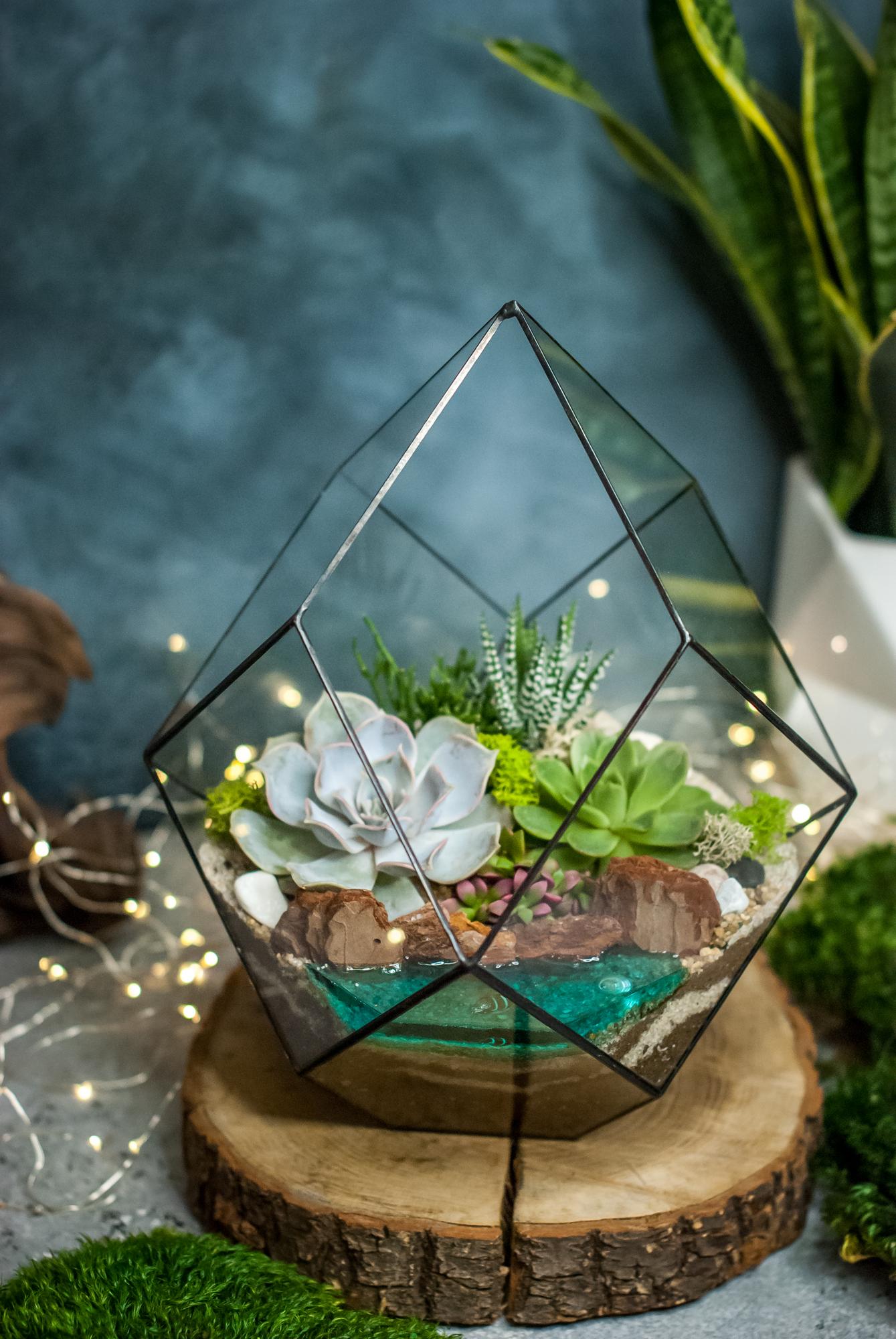 Кристалл М с суккулентами и озером