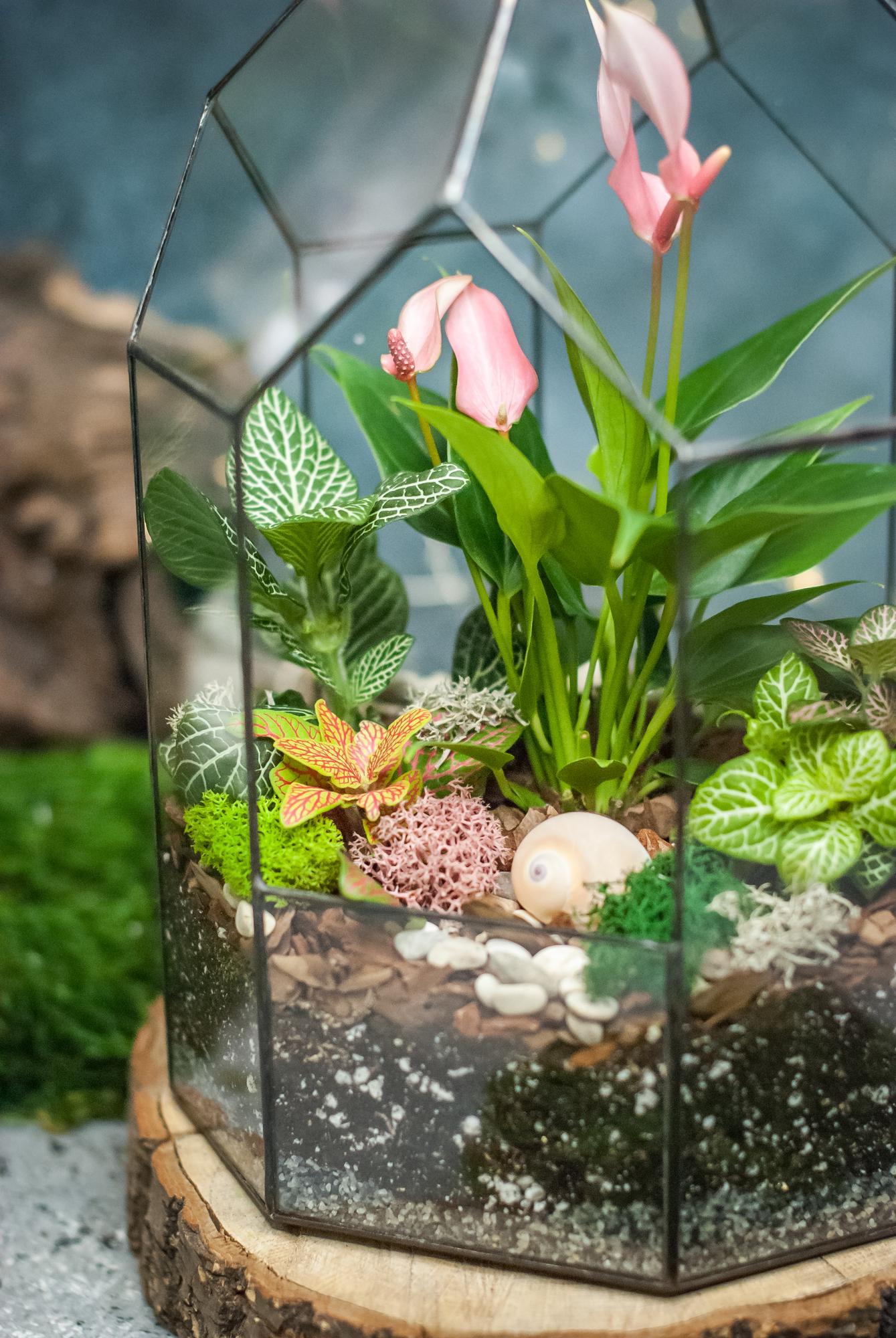 Бонсариум 27 см. с антуриумом